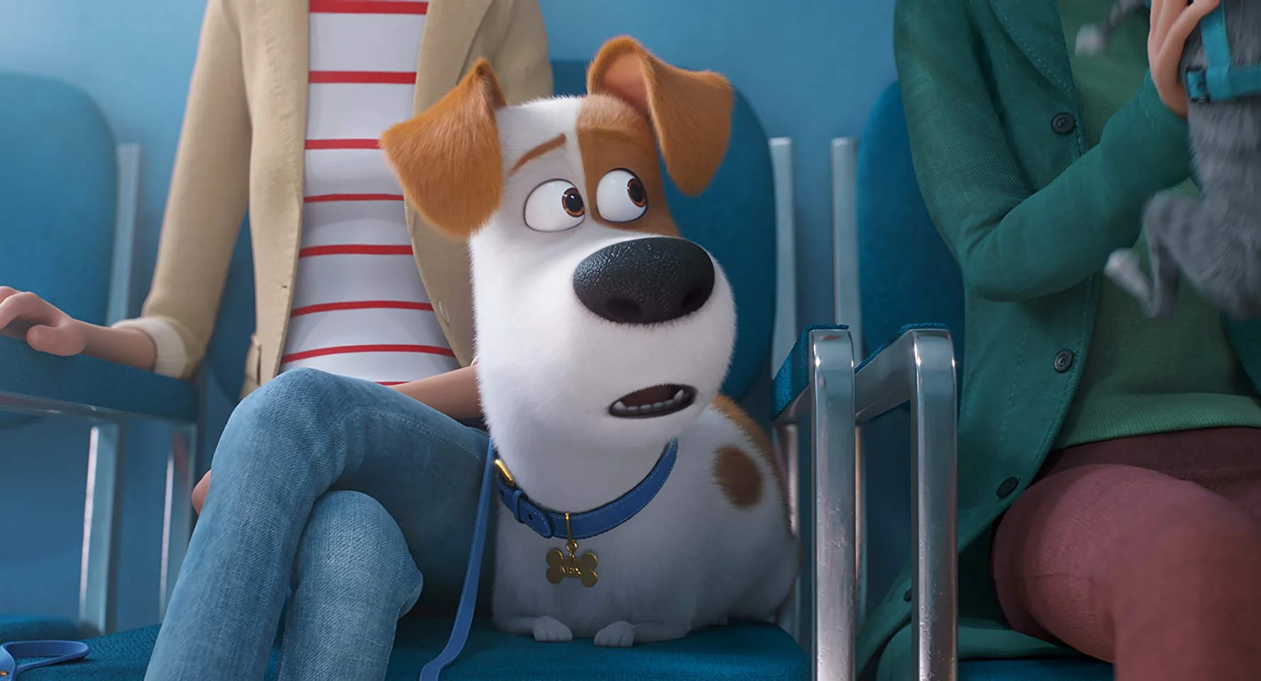 the secret life of pets 2.jpg