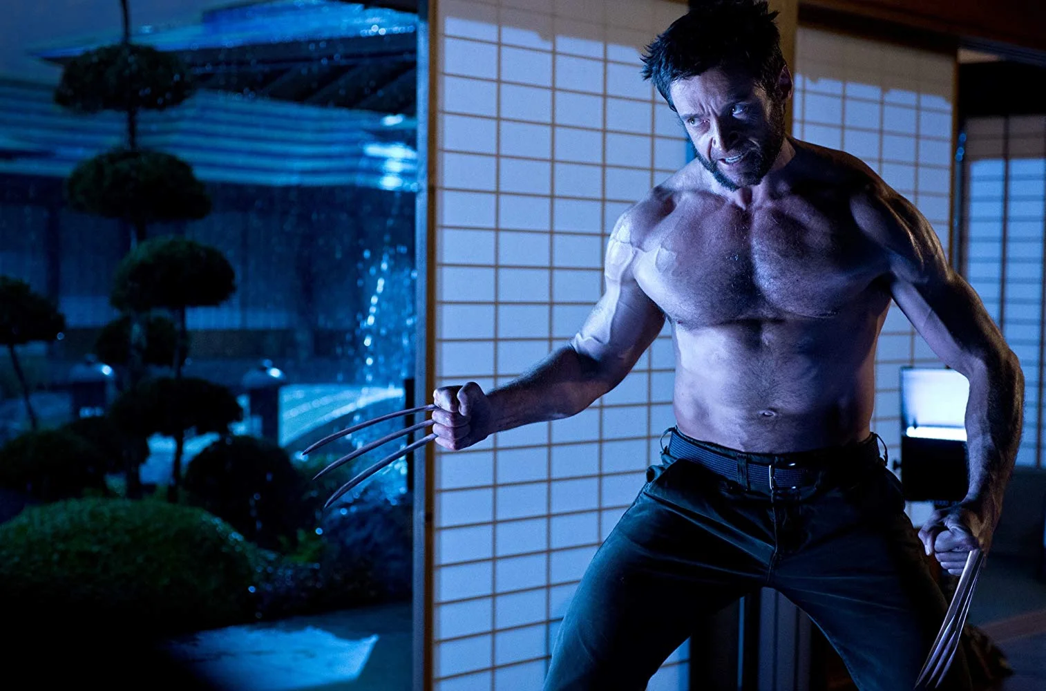 wolverine - 1.jpg