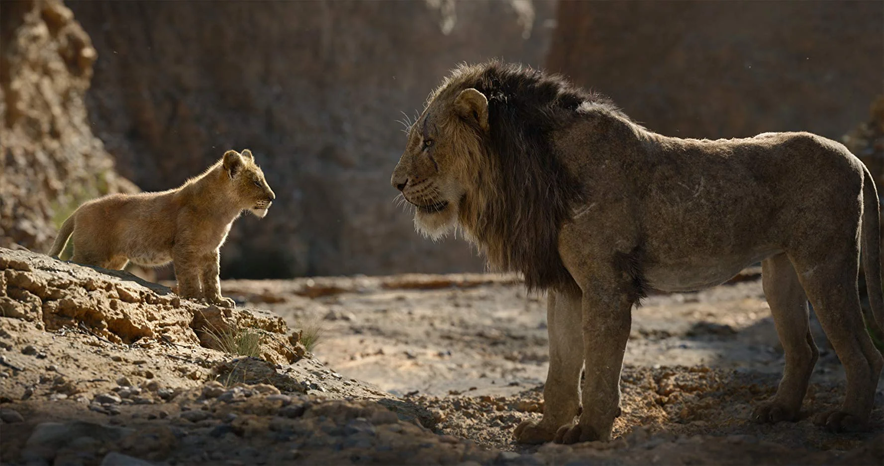 the lion king - 1.jpg
