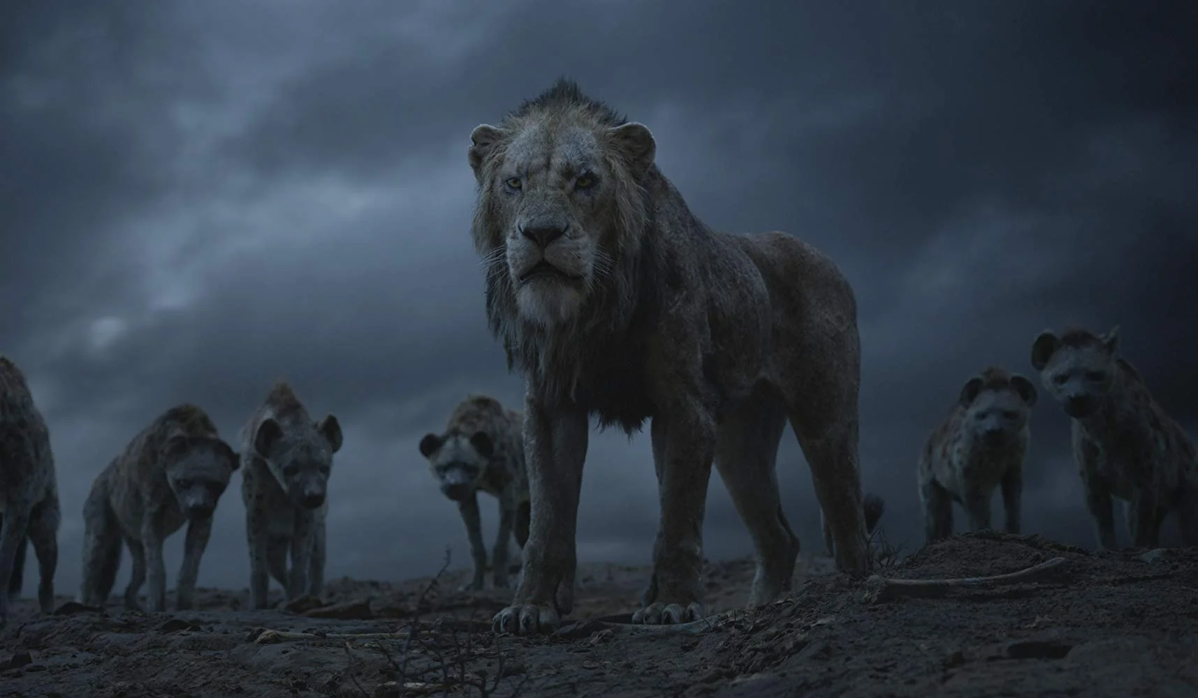 the lion king - 5.jpg