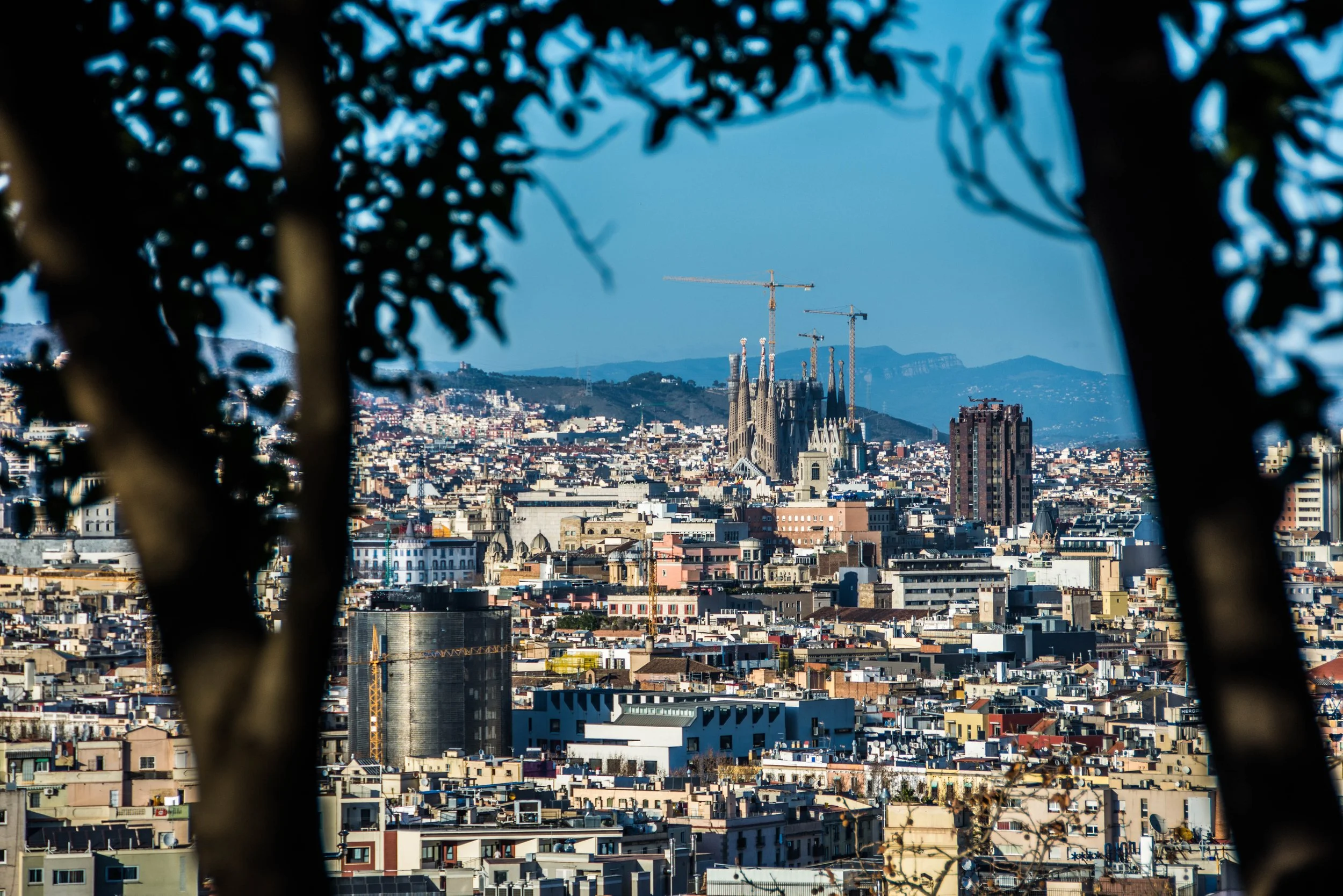 Barcelona, Spain (774).jpg