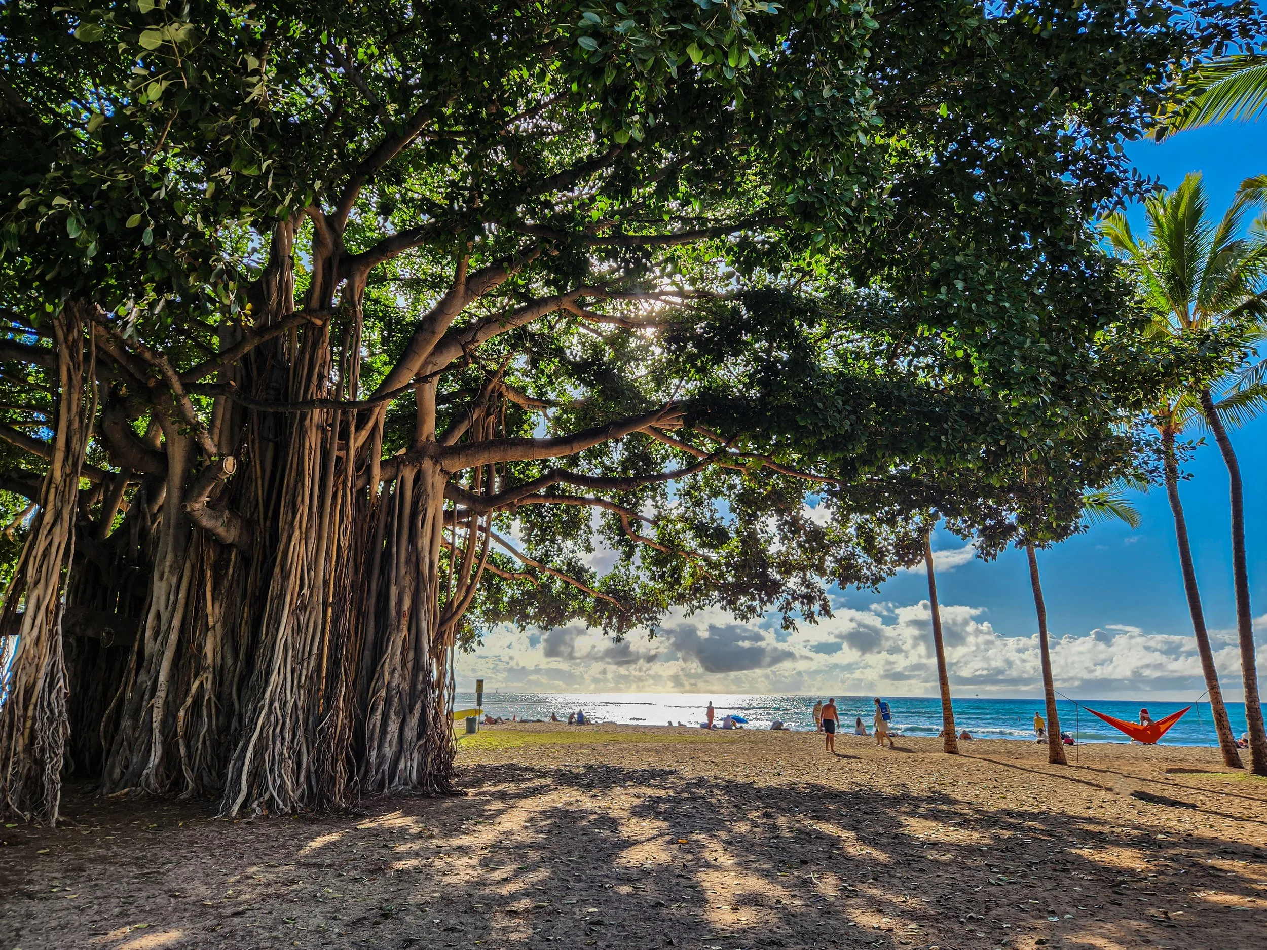 Waikiki (21).jpg