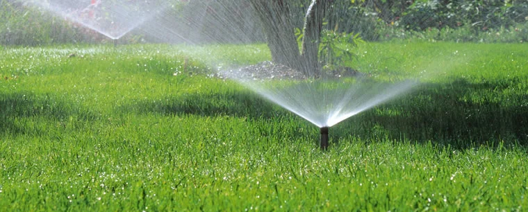 SprinklerImage.jpg