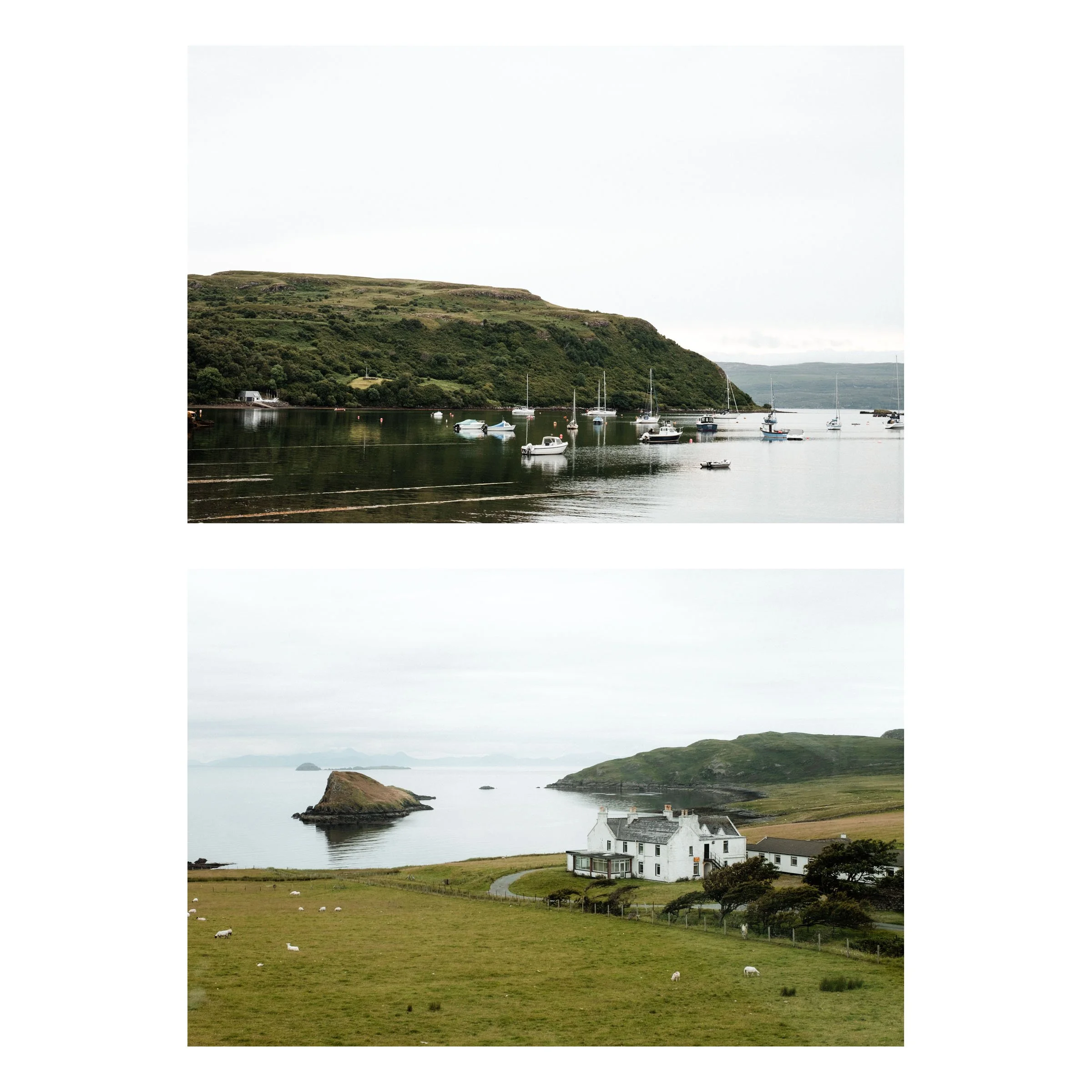 Skye-1.jpg