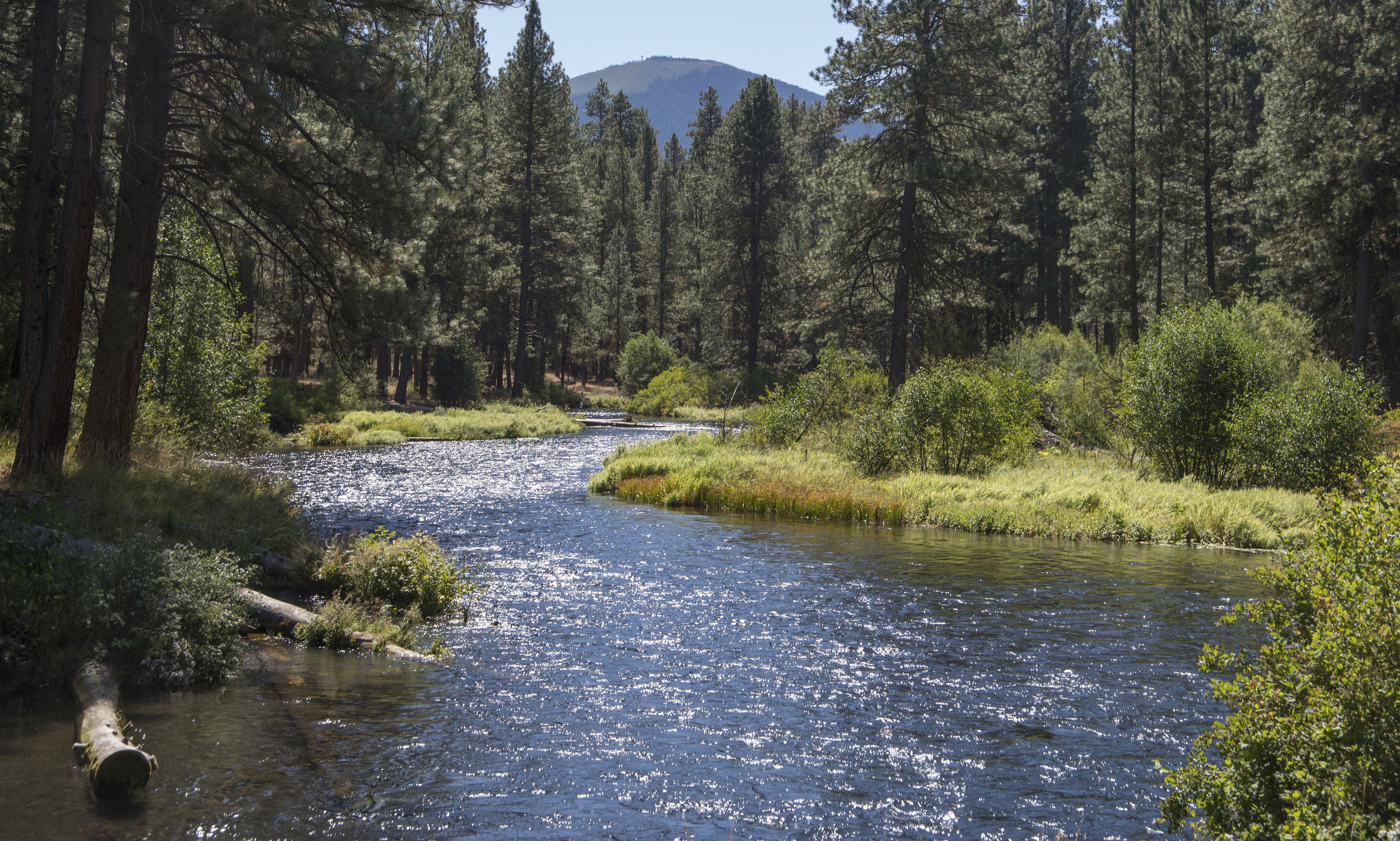  The Deschutes and McKenzie rivers flow nearby 