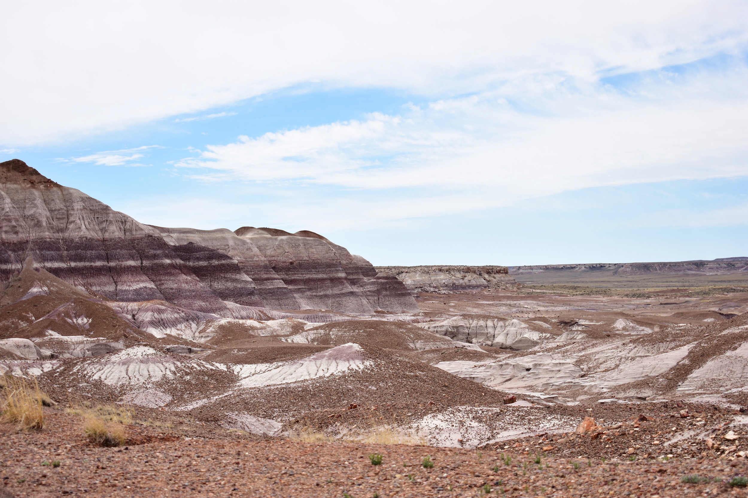 Petrified Forest National Park