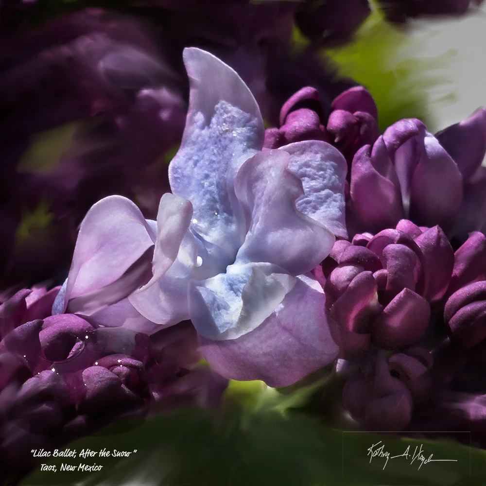 Lilac Ballet