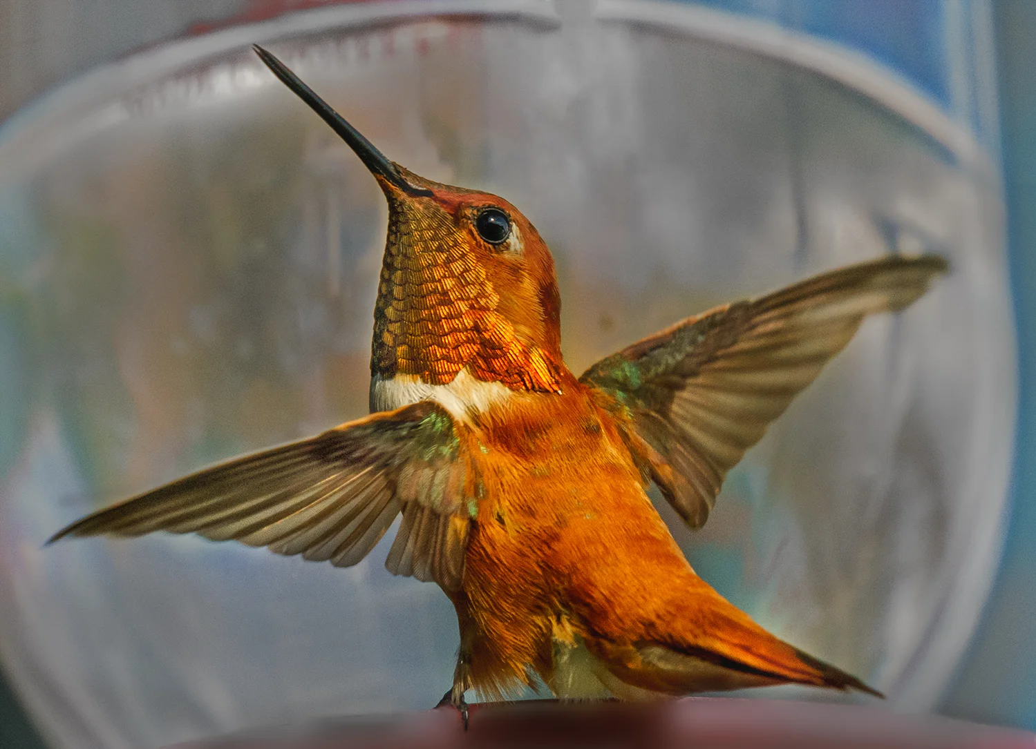 Start Humming and Get Your Dance On