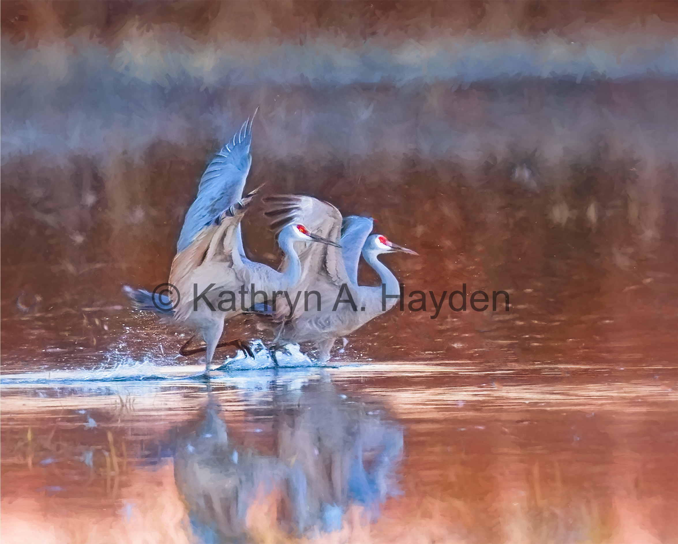 Enchanted Landing
