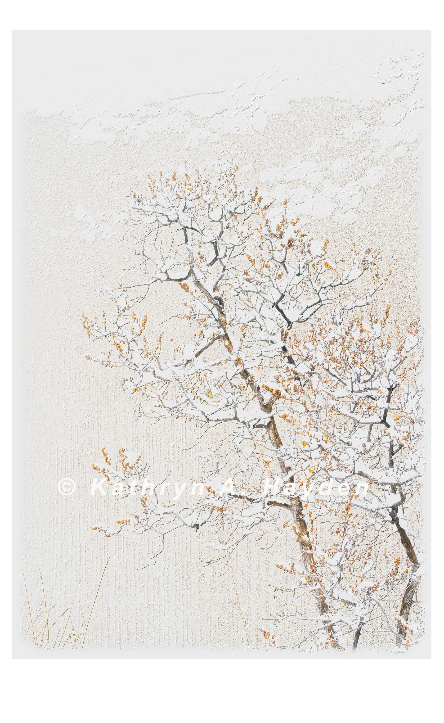 "Oh Henry...(visual ode to "Last Leaf")
