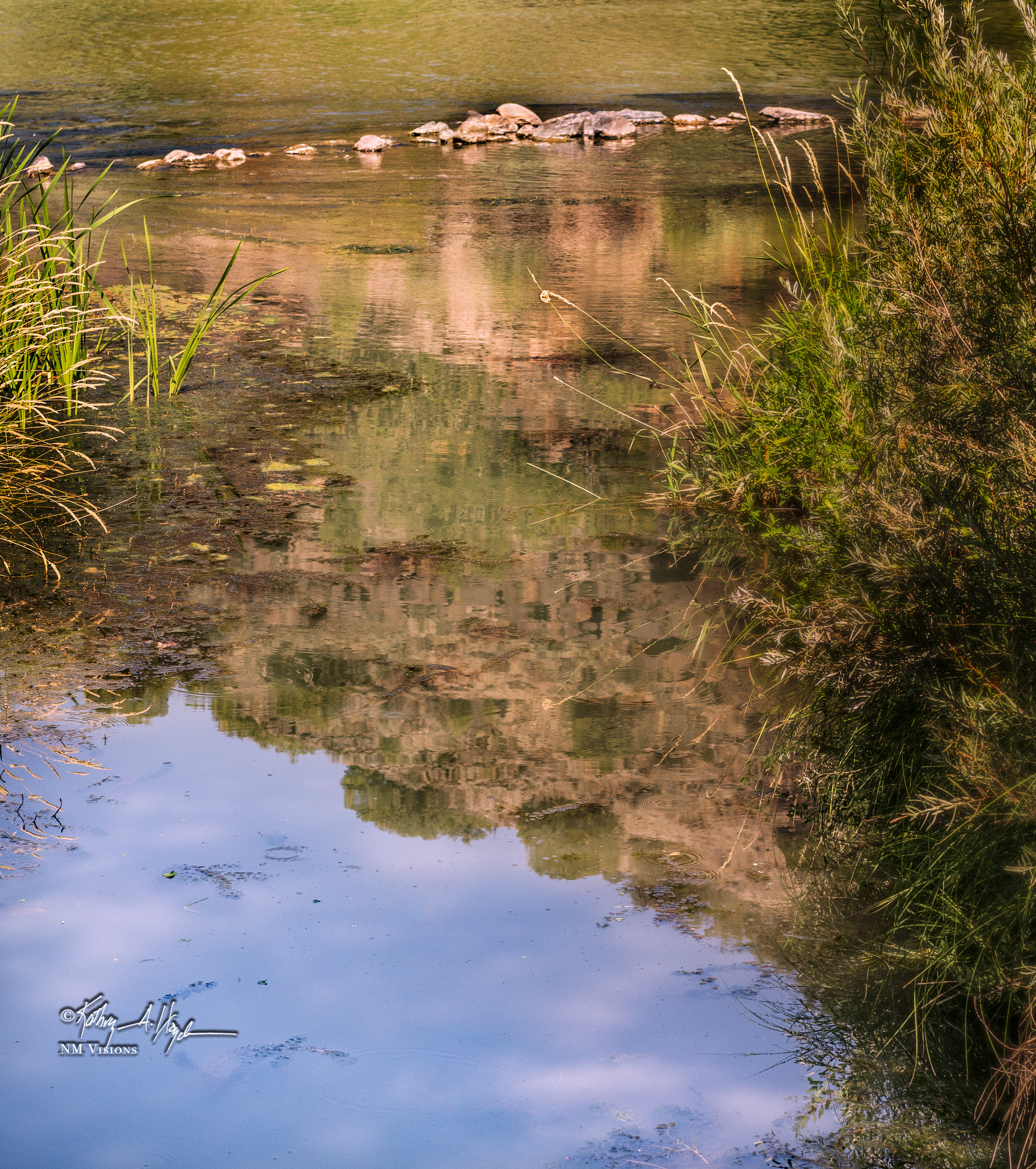 Grounding Perspective along the Rio Grande