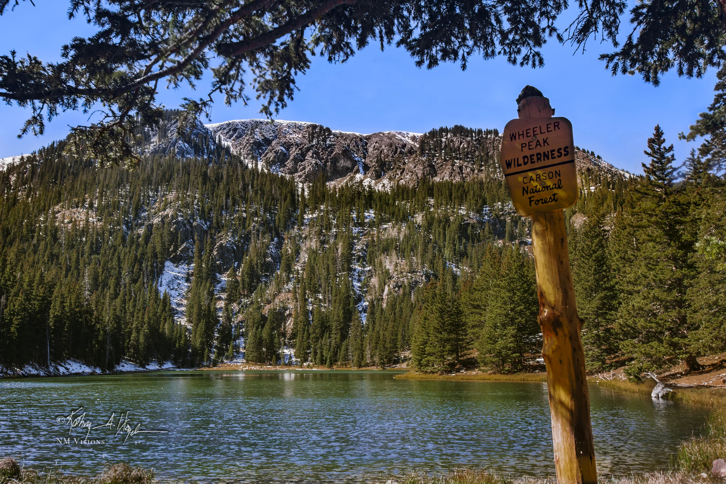 Wheeler Wilderness Wonderland