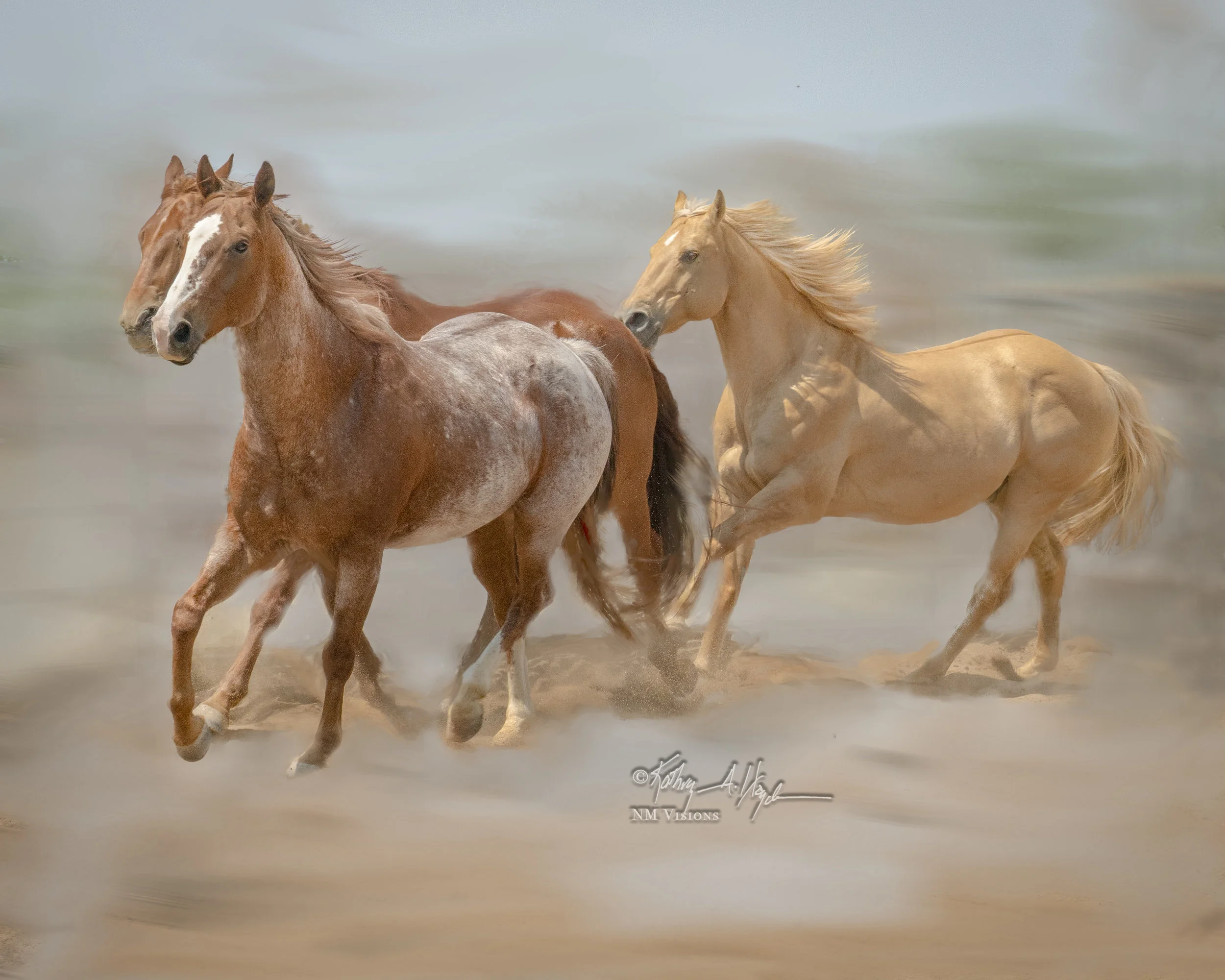 Equine Gold Rush