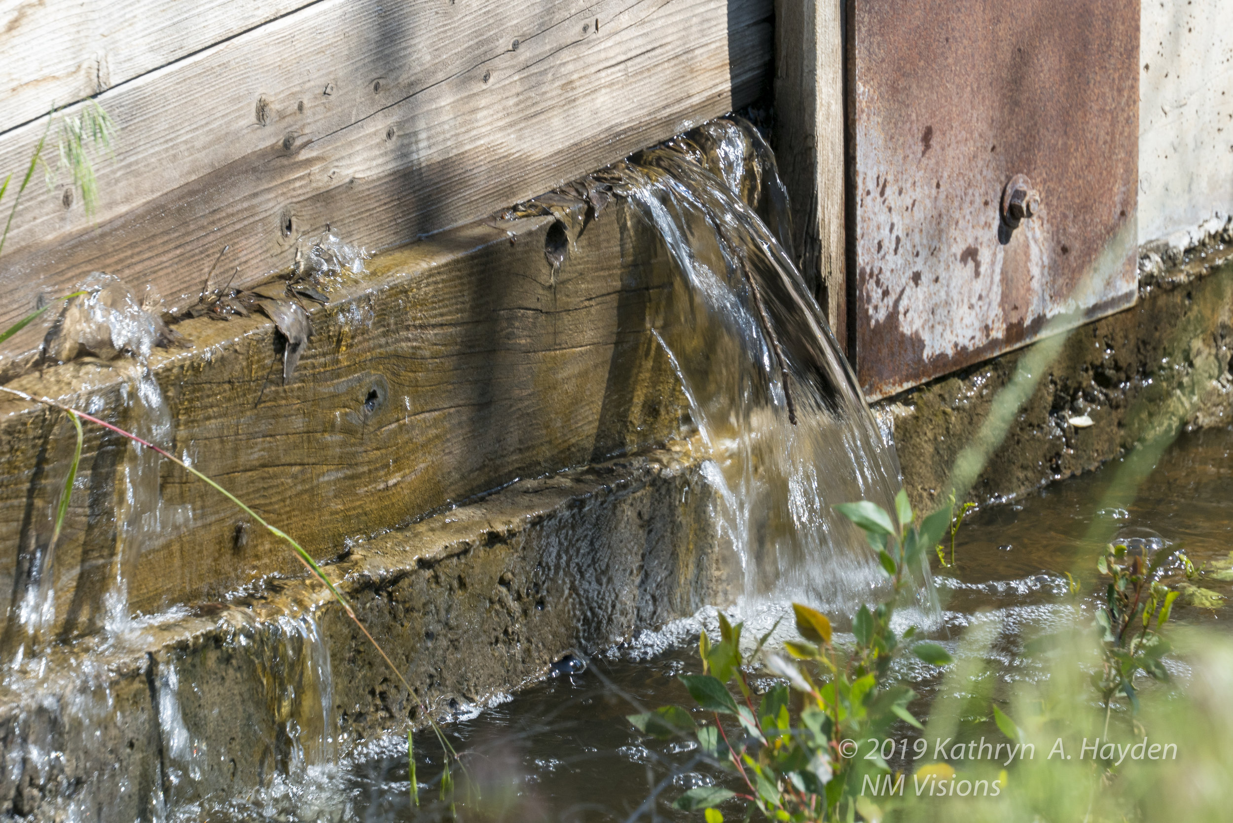  water pouring through the acequia, again an uncommon view for this piece of land. 