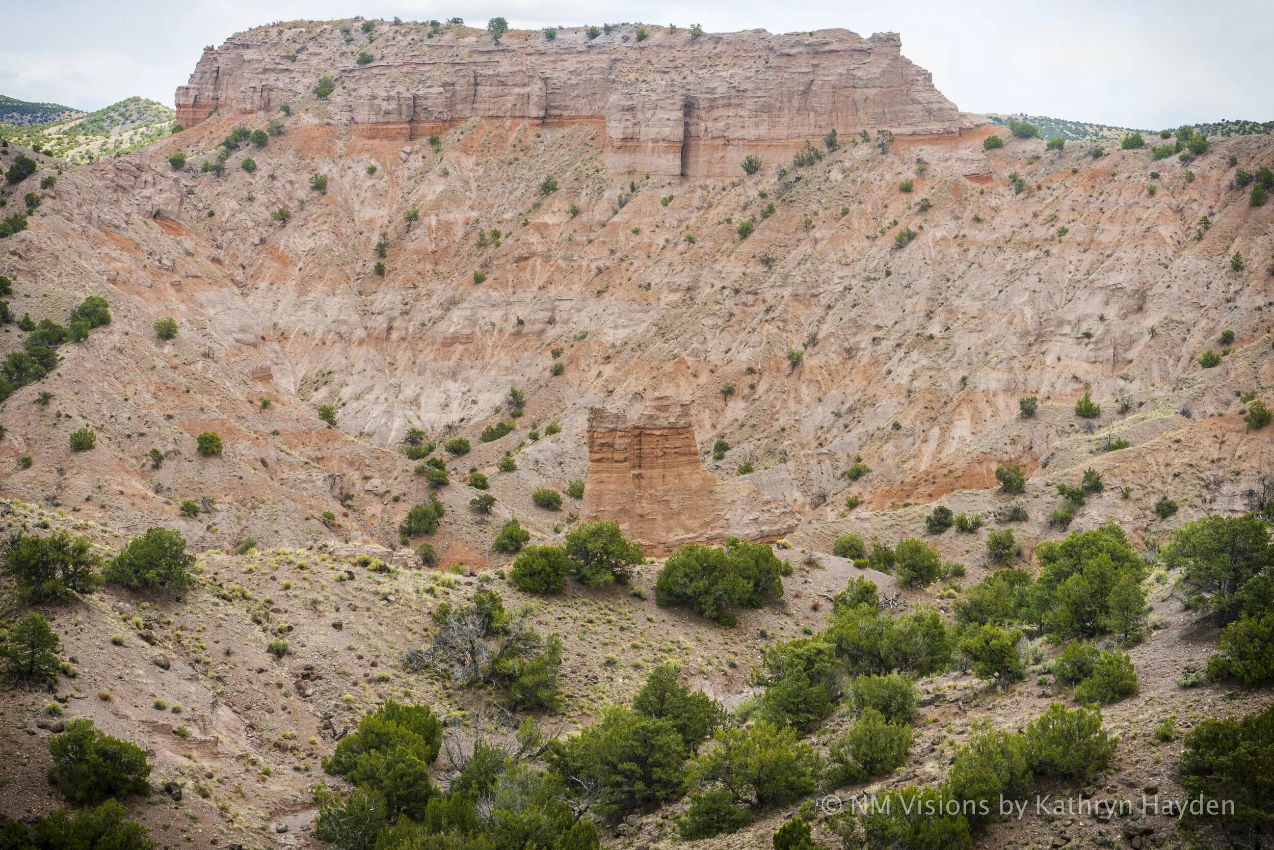Slotted Canyon Rocks