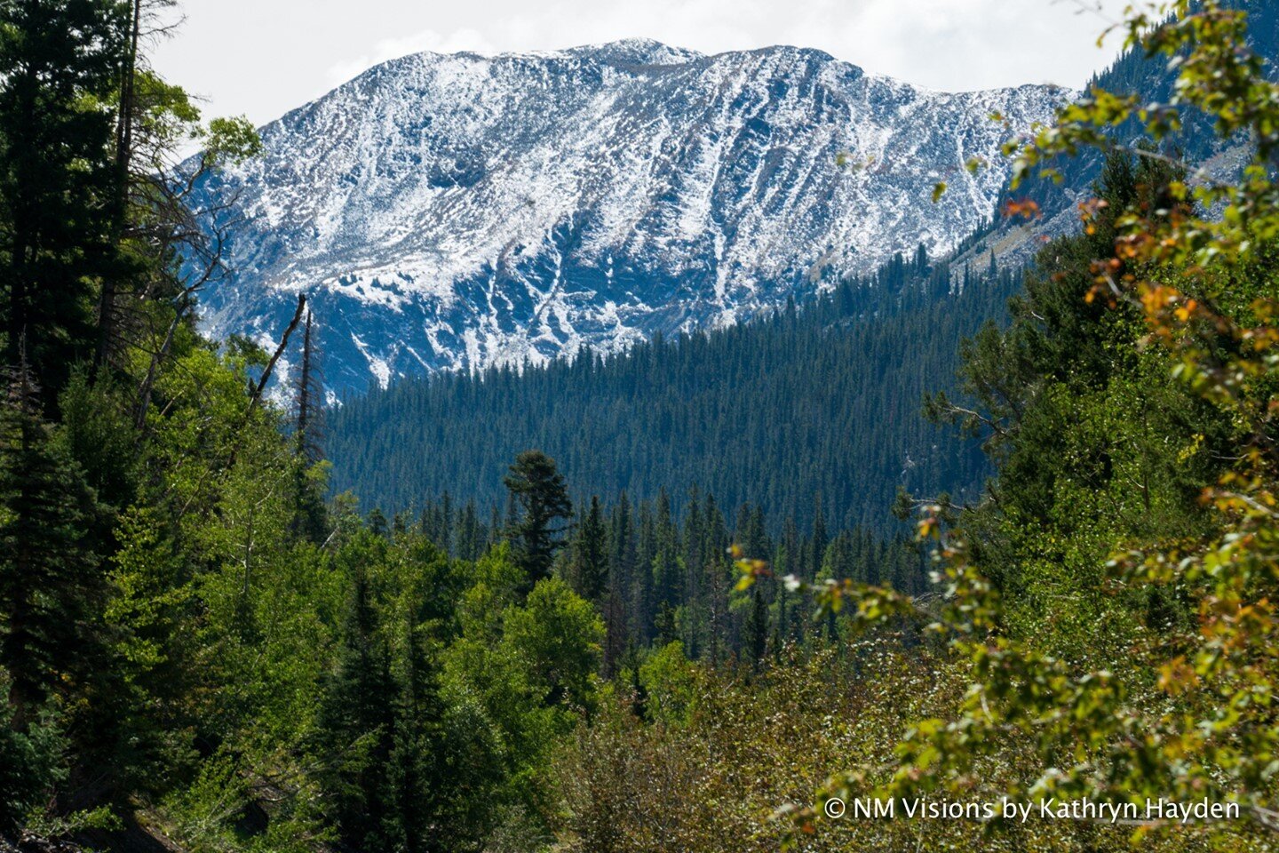 First snow on Kachina ... hopefully will be skiing up there this year!⁠
#firstnow @taosskivalley #honeymoonview