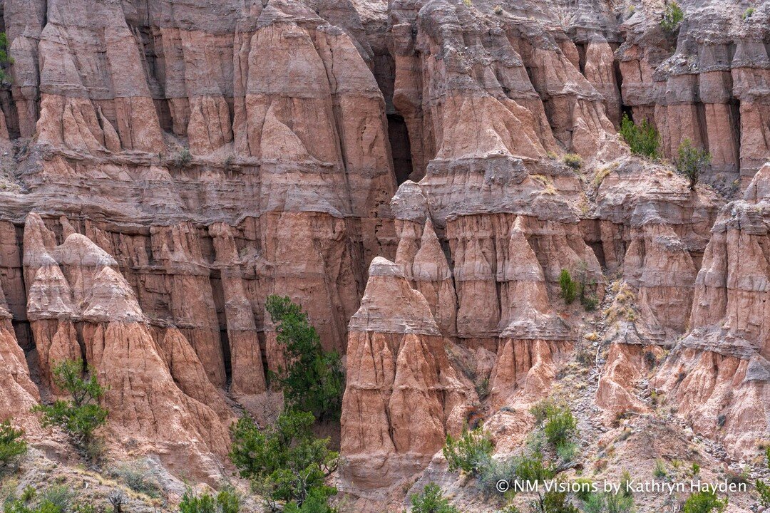 Hidden Rock ... there are many well known rock formations in Northern New Mexico, but you'll also find hidden areas to rock on.⁠
#newmexicorocks