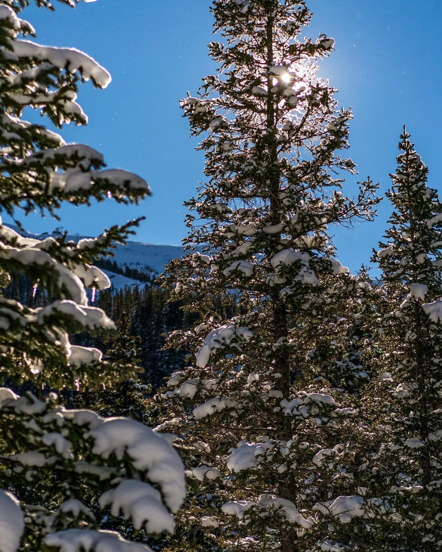 Feel the Calm 
#calmamidstthechaos 
Copyright &copy; NM Visions by Kathryn A Hayden

#taos #visittaos #newmexiconomad #nmvisionsbykathrynahayden