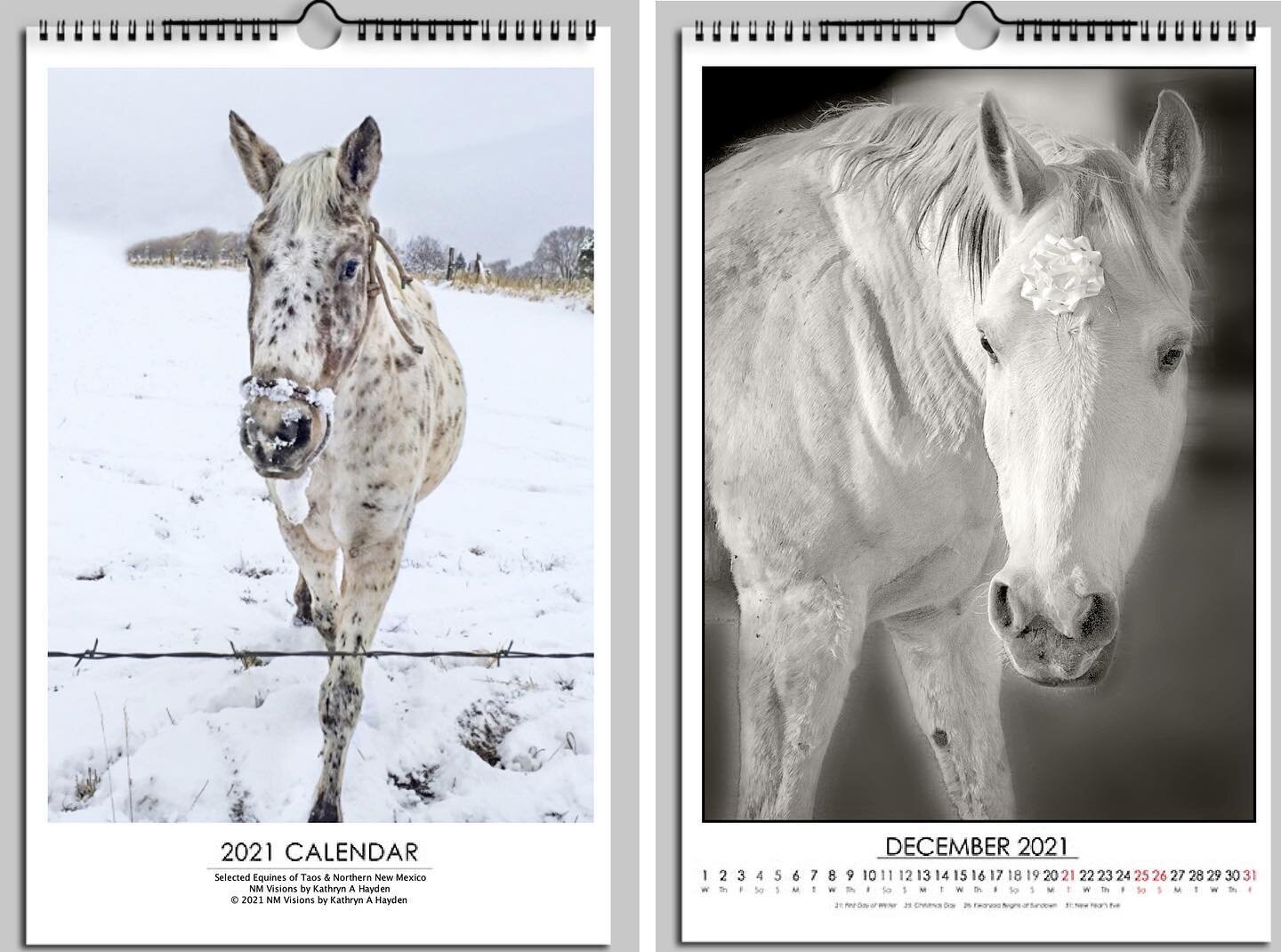 2021 Equines of Northern New Mexico Calendar now on sale.
13 images of the moody, funny and unique equines. Photographing these beautiful creatures is one of my favorite subjects to capture as they each display their unique personalities. Grab one (o