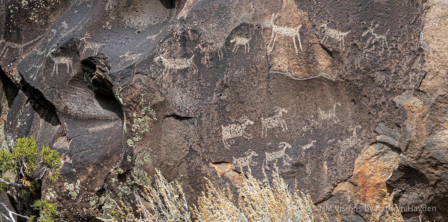 Petroglyphs - Ancient Art of Taos