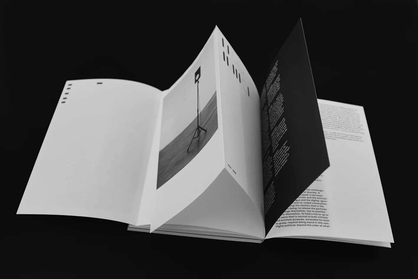 Between Forms of Representation and Interpretation
