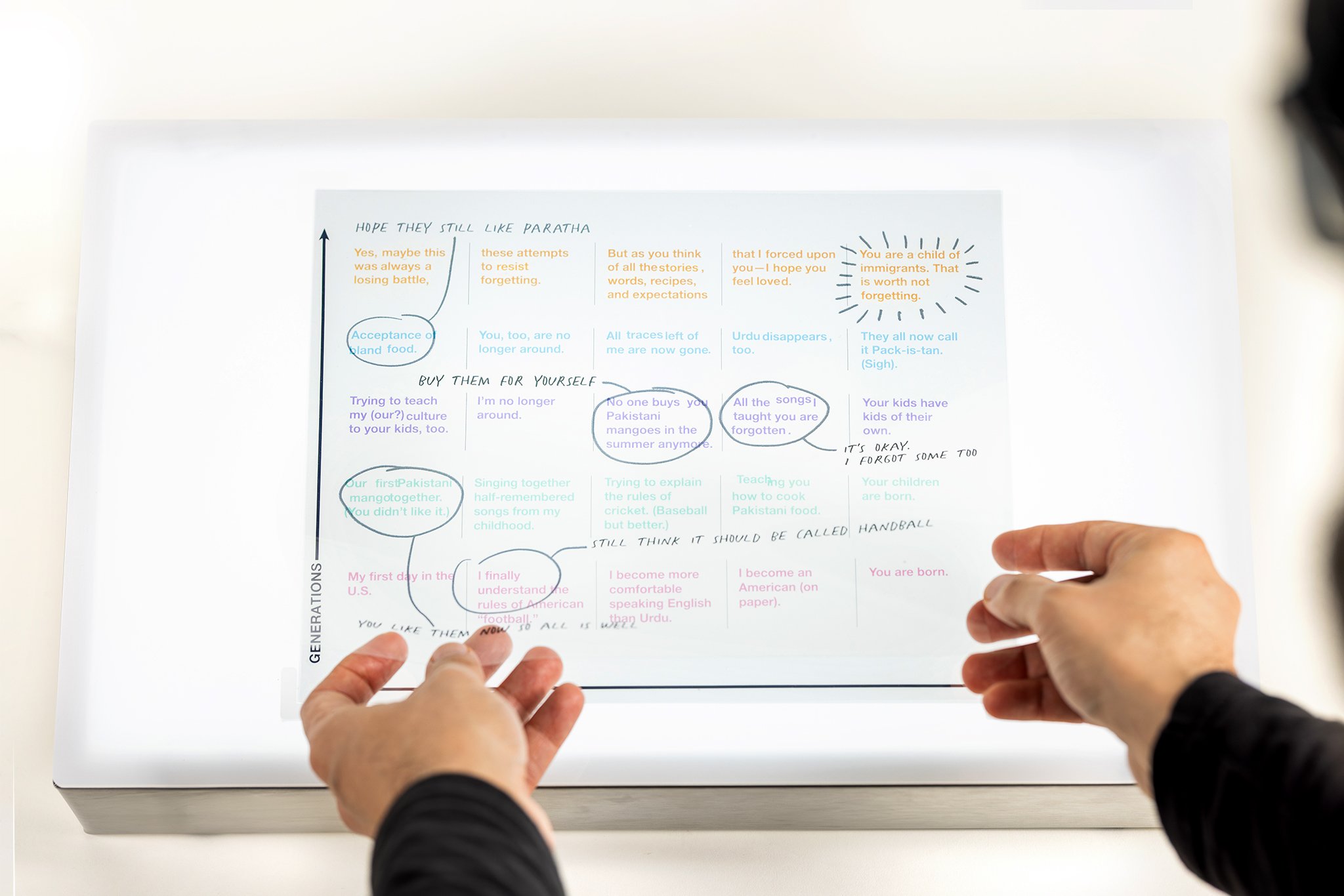 18 Lifecycle of an Immigrant 01.jpg