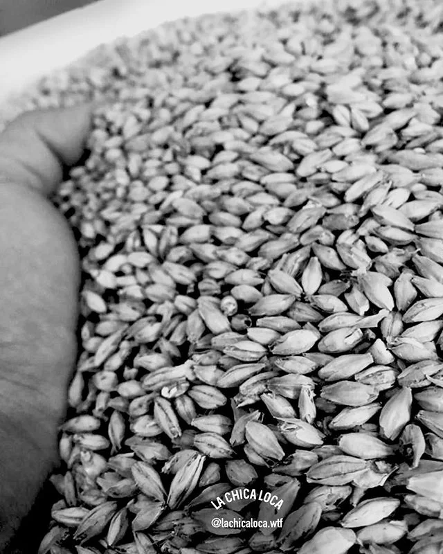 Always fresh..... -
-
-
-
-
#craftbeer #mezcal #mezcallachicaloca