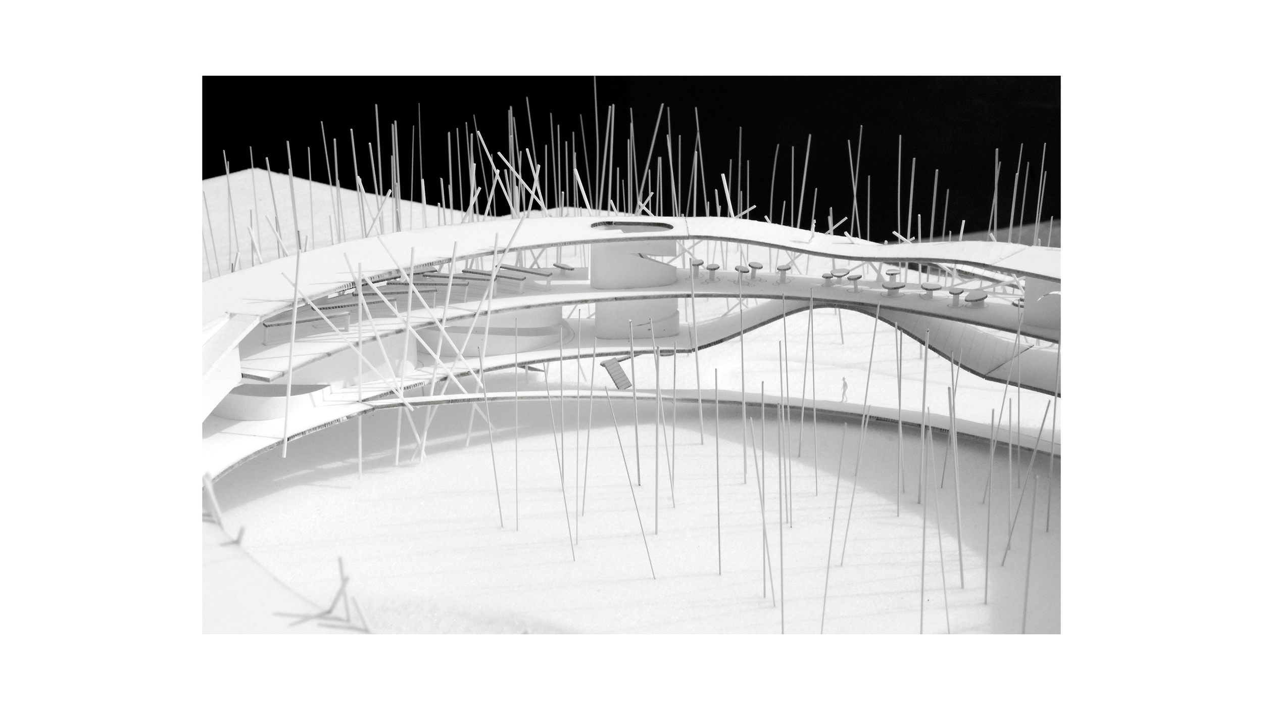 Jacqueline Ho_Riparian Ring_20.png