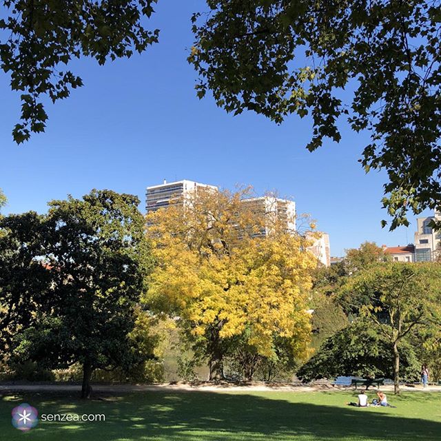 Need a break from the city ? If possible, find a park.
.
It&rsquo;s easier to find a bit of Nature in some cities than others
.
If you search well, Paris got lots of gems like this park!
.
I like to have some privacy in a park, to restore my energy o