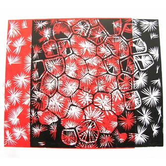 Coral1.jpg