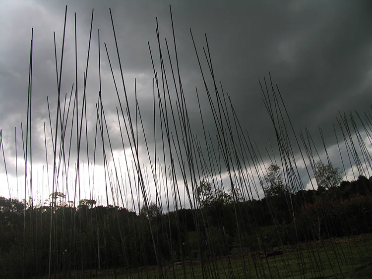 AIT_A Float  (2).JPG