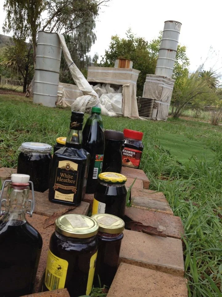 AIT_ Dunn's Castle 2013(1).JPG