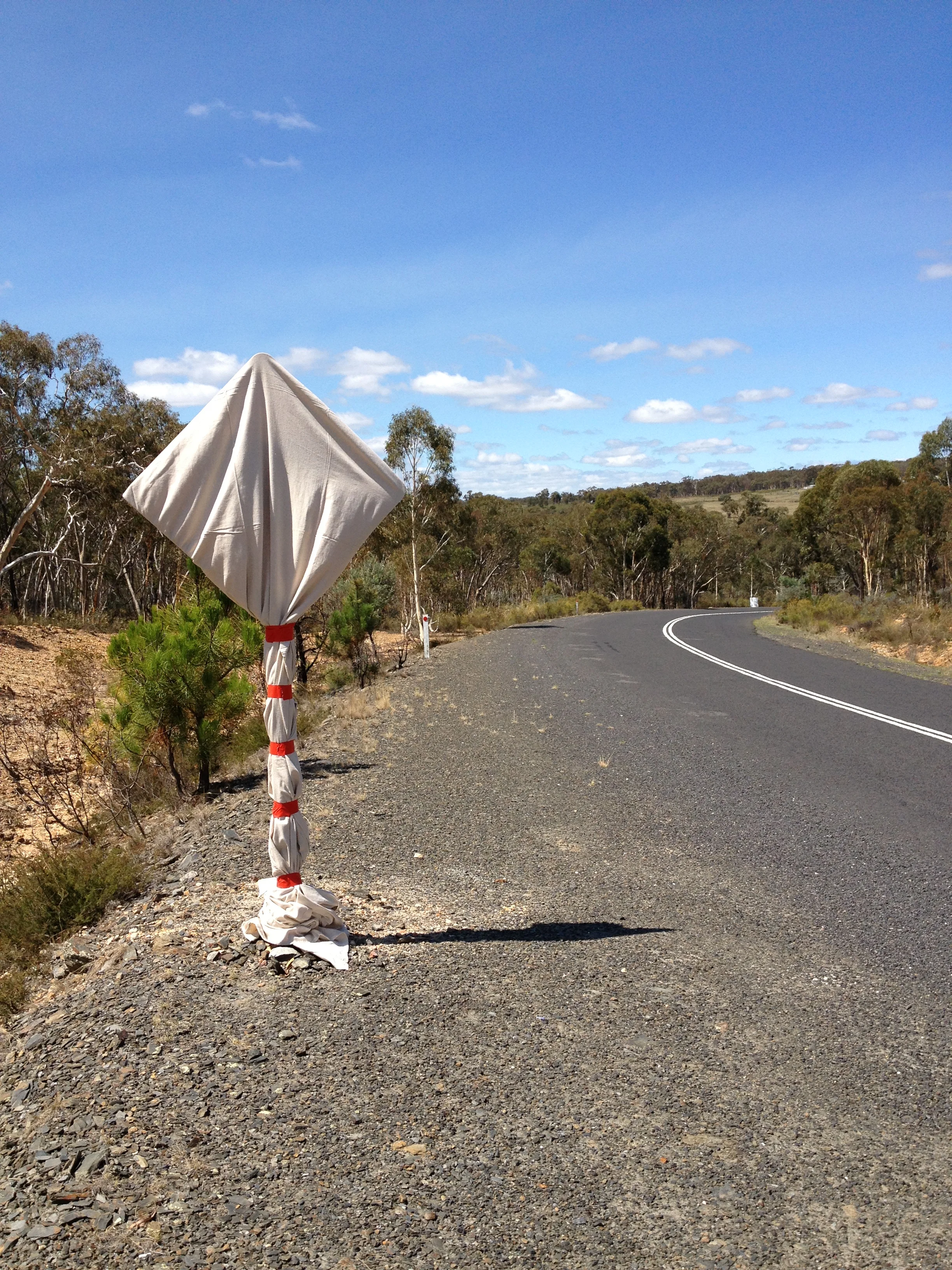 Wrapping Koala sign .JPG