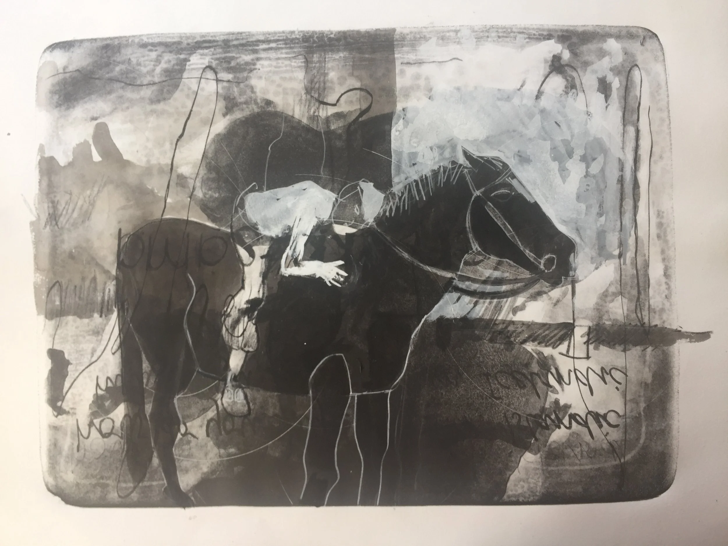 Ro Murray_Boy on a  pony(2).JPG