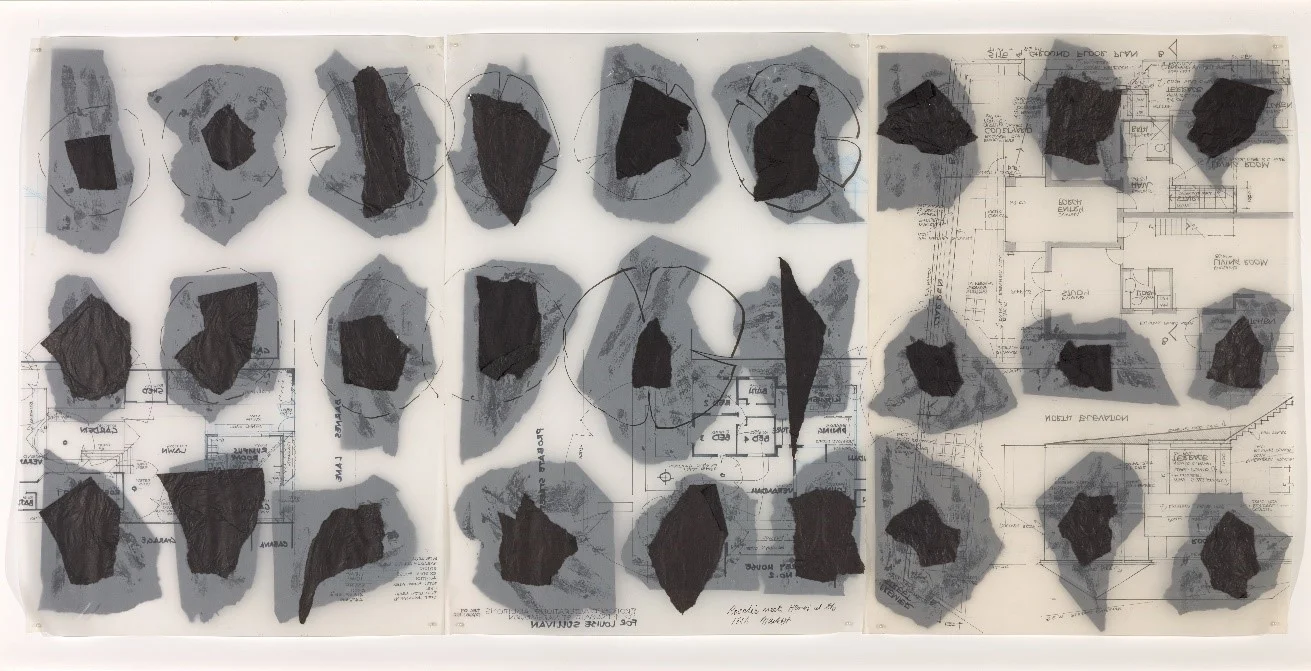 Midden 2017, ink and collage on tracing paper, 74x140cm, was selected finalist for Blacktown City Art Prize, image credit David Roche