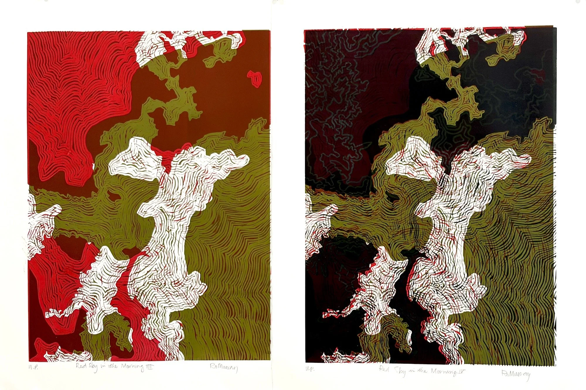 Ro Murray_Red Sky in the Morning III,IV.jpg