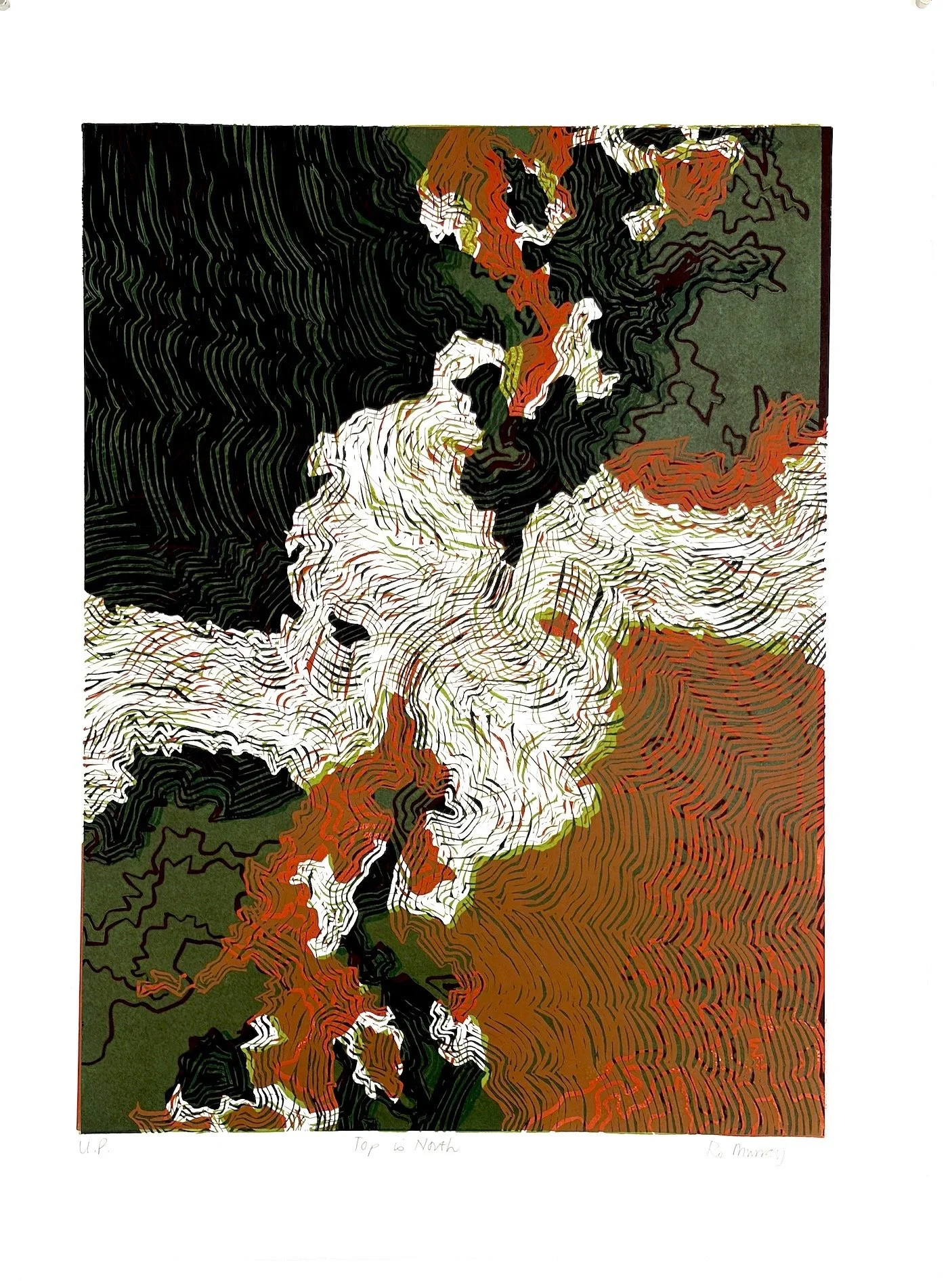 Ro Murray_Top is North.JPG