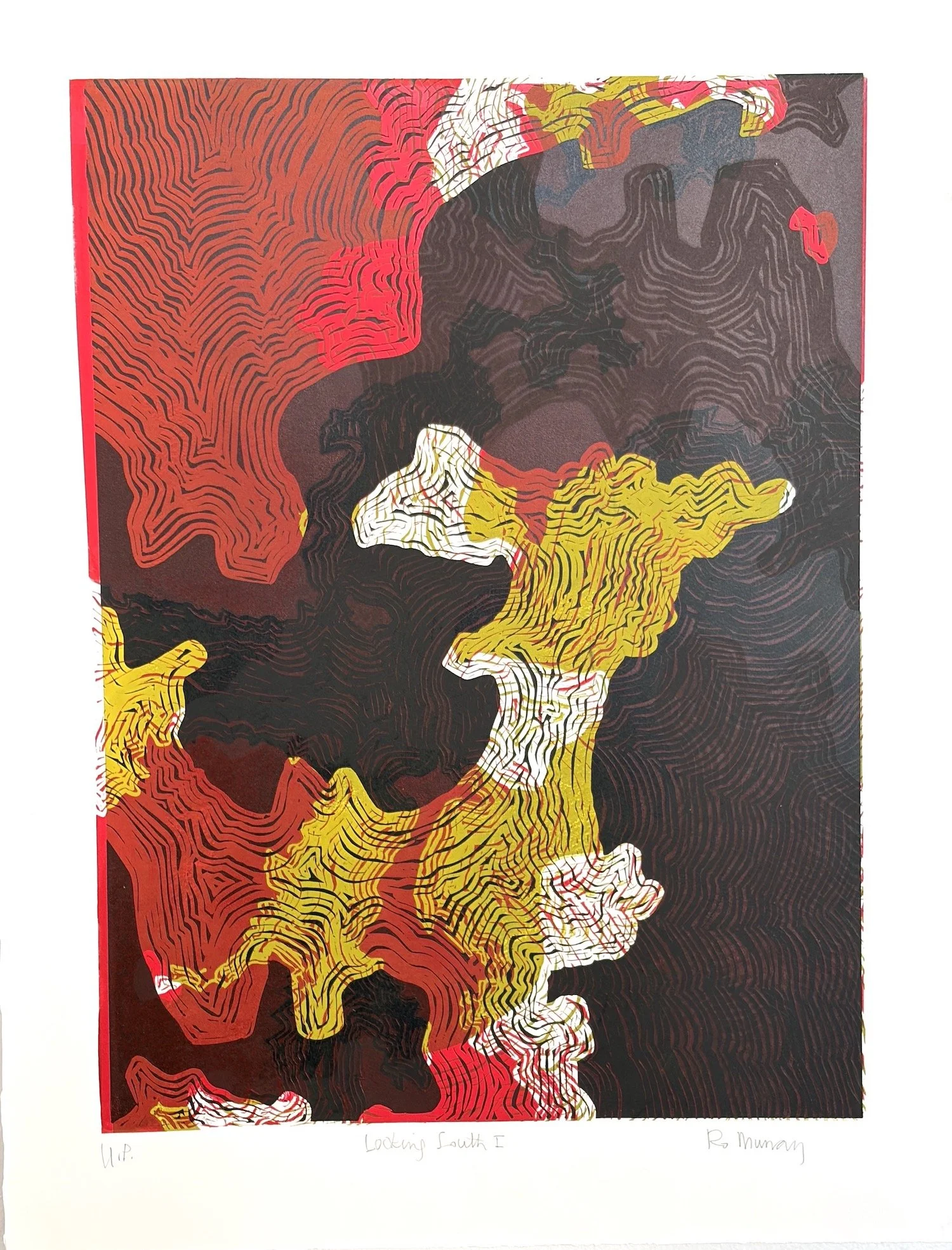 Ro Murray_Looking South I.JPG