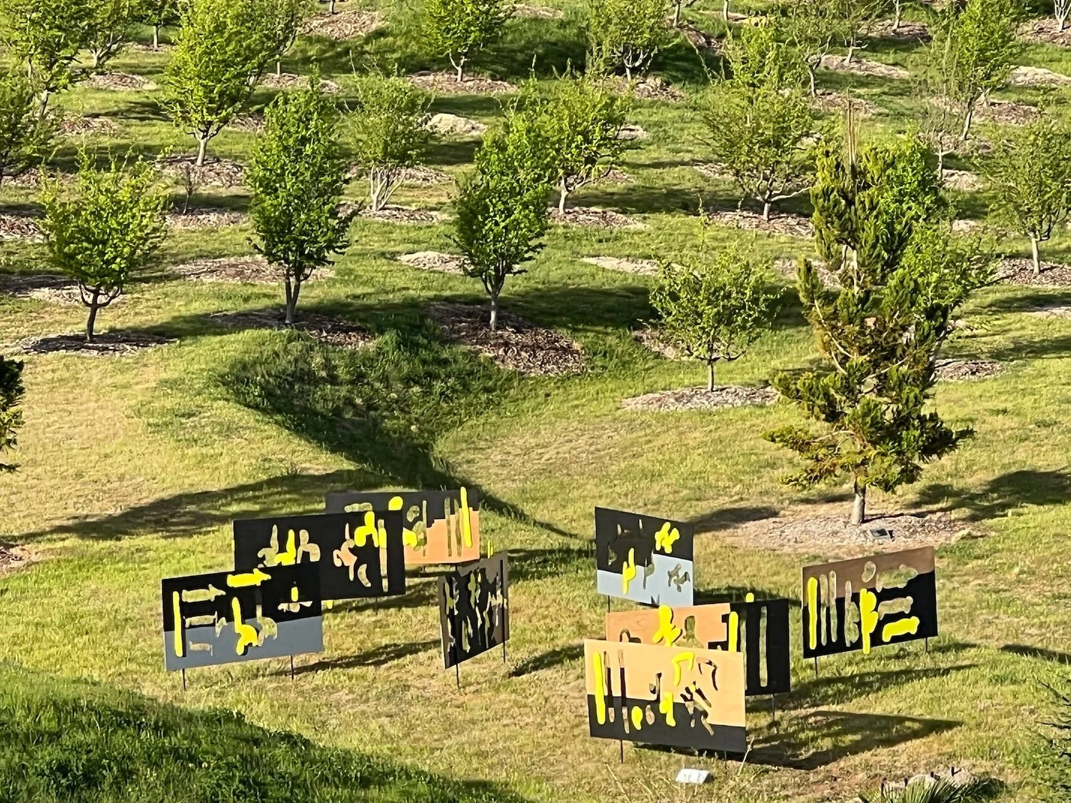 Just Holding Out 2024 Arboretum 1.jpg