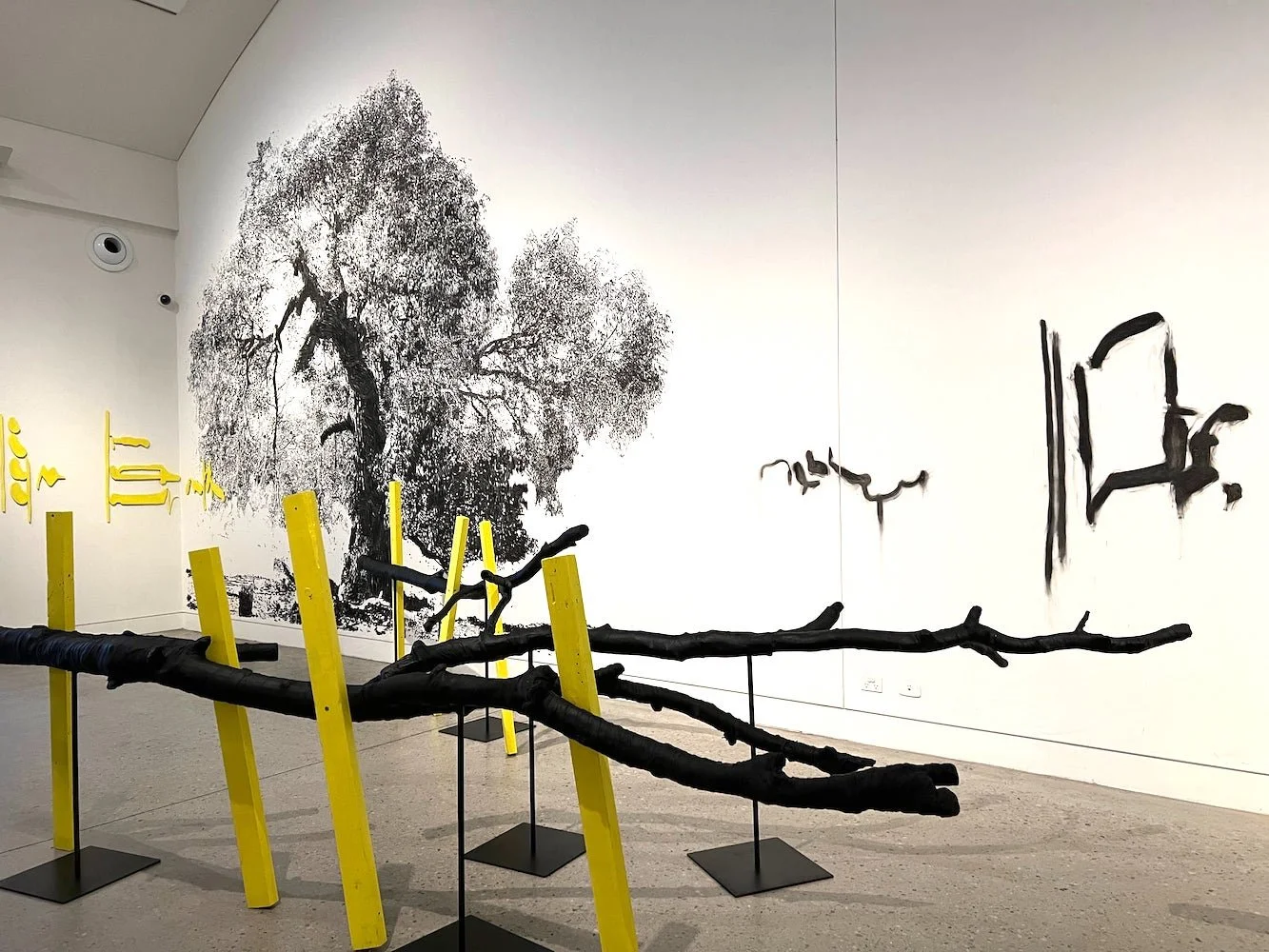 Lost Song BMCC 2.jpg