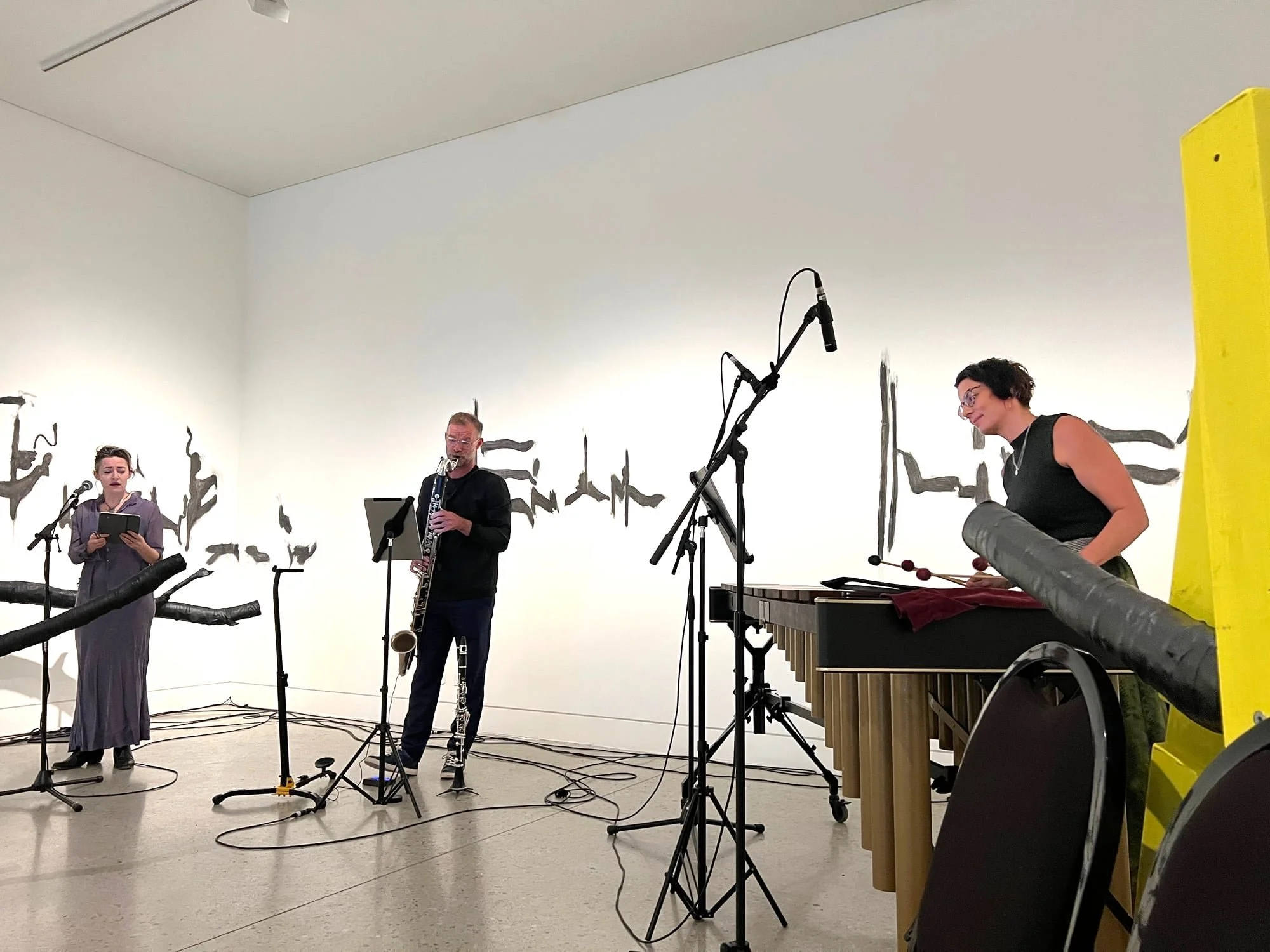 Lost Song BMCC 3.jpg