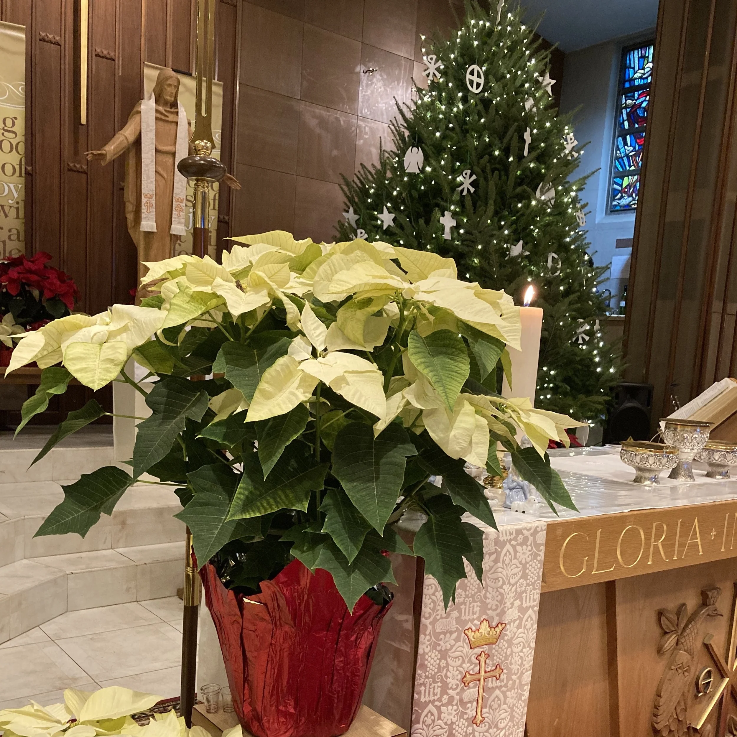 Christmas 2024 2.jpg