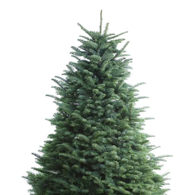 tree crop.jpg