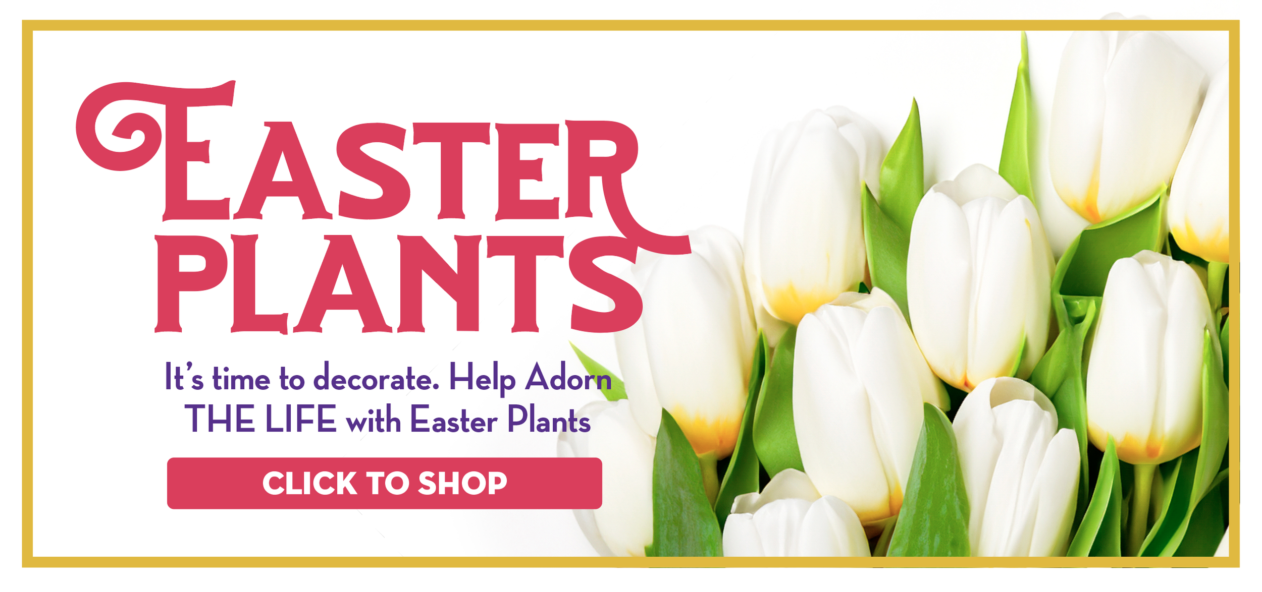 Screenshot 2026-03-15 at 8.35.01 AM.png