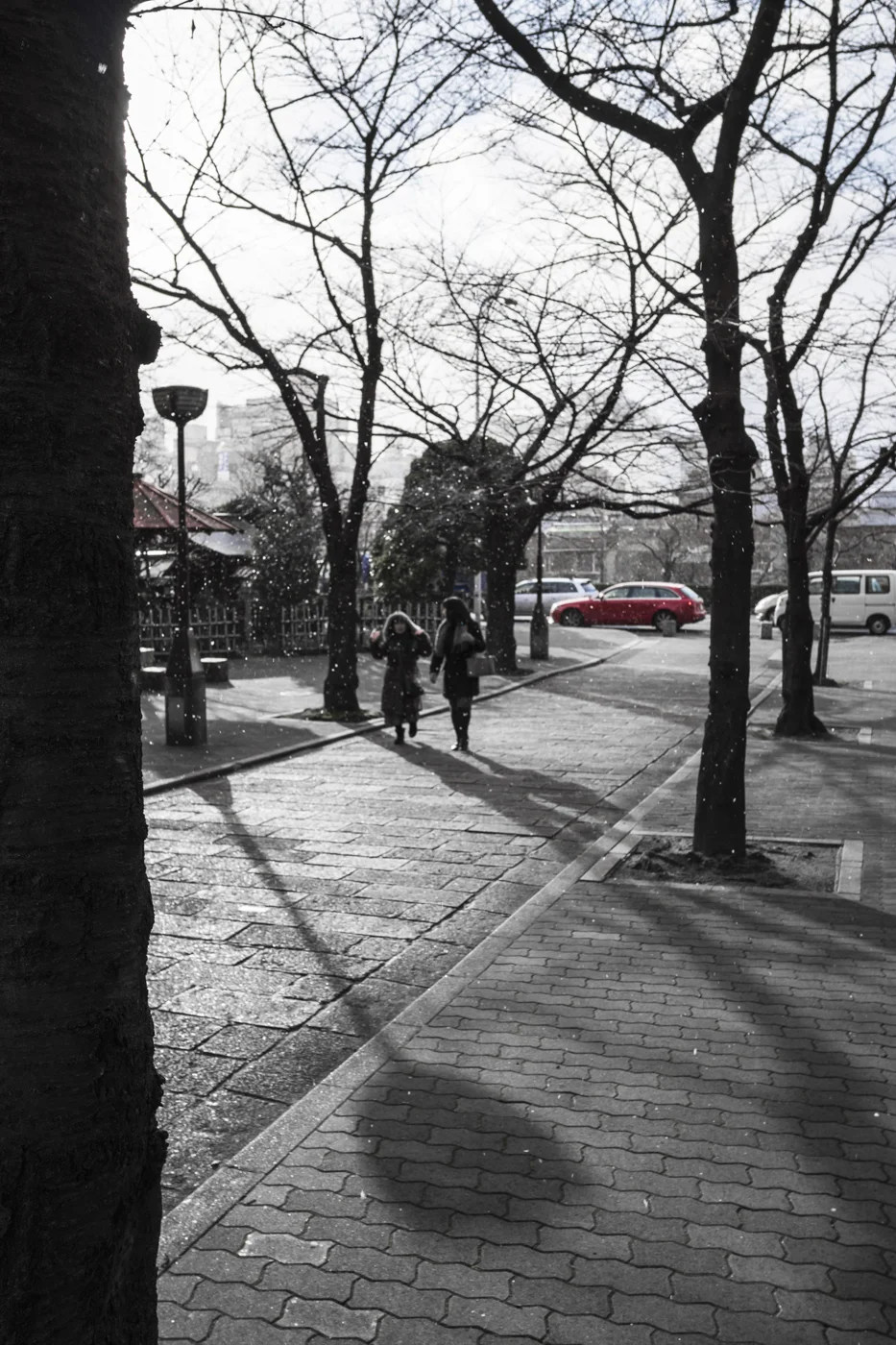 Japan_2015-1020451.jpg