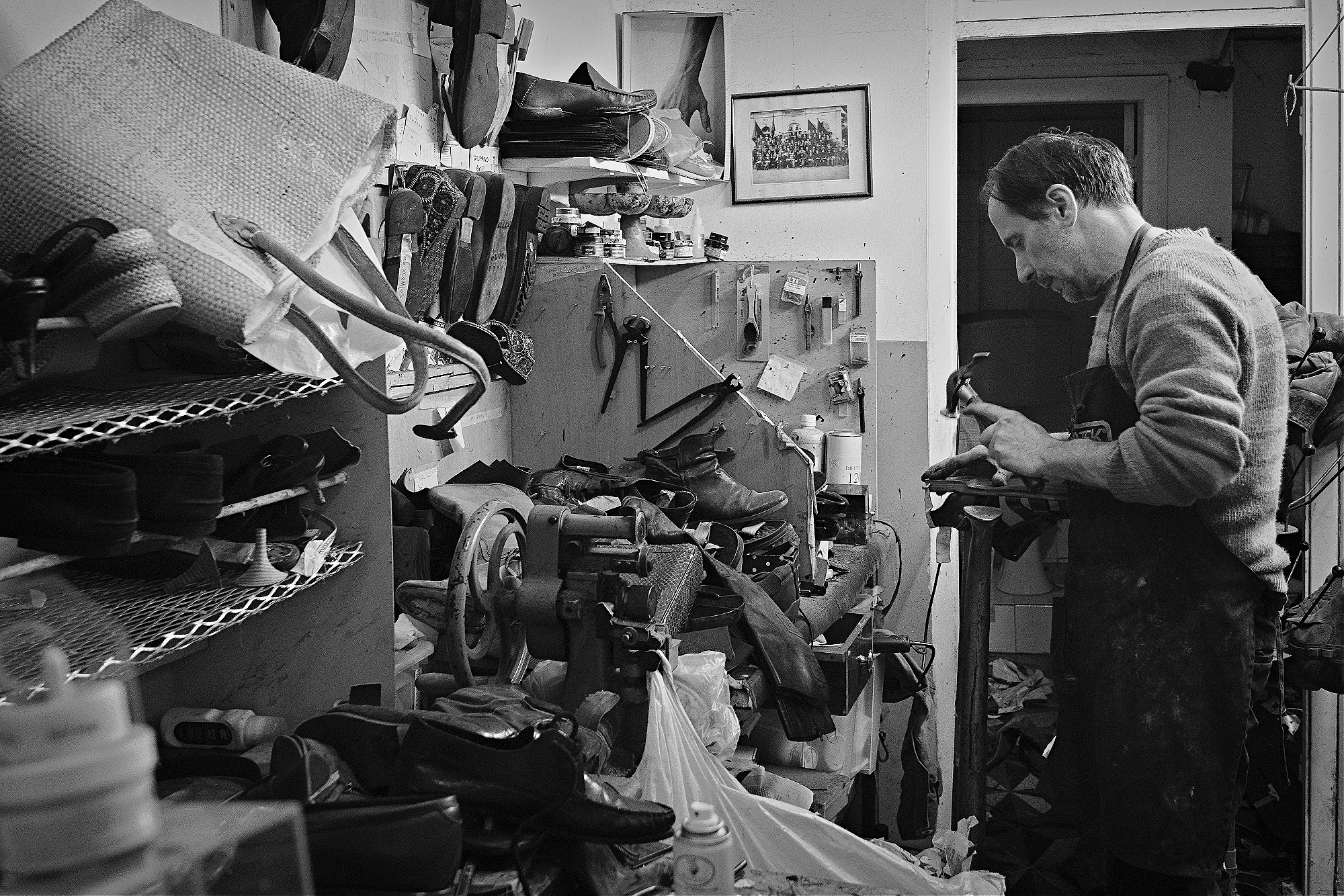 Luigi, Cobbler, Genoa