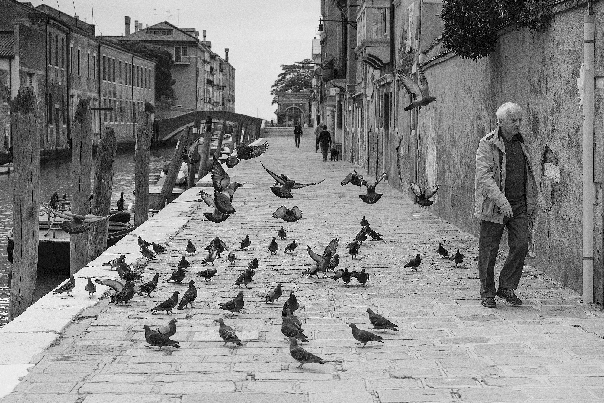 Venice