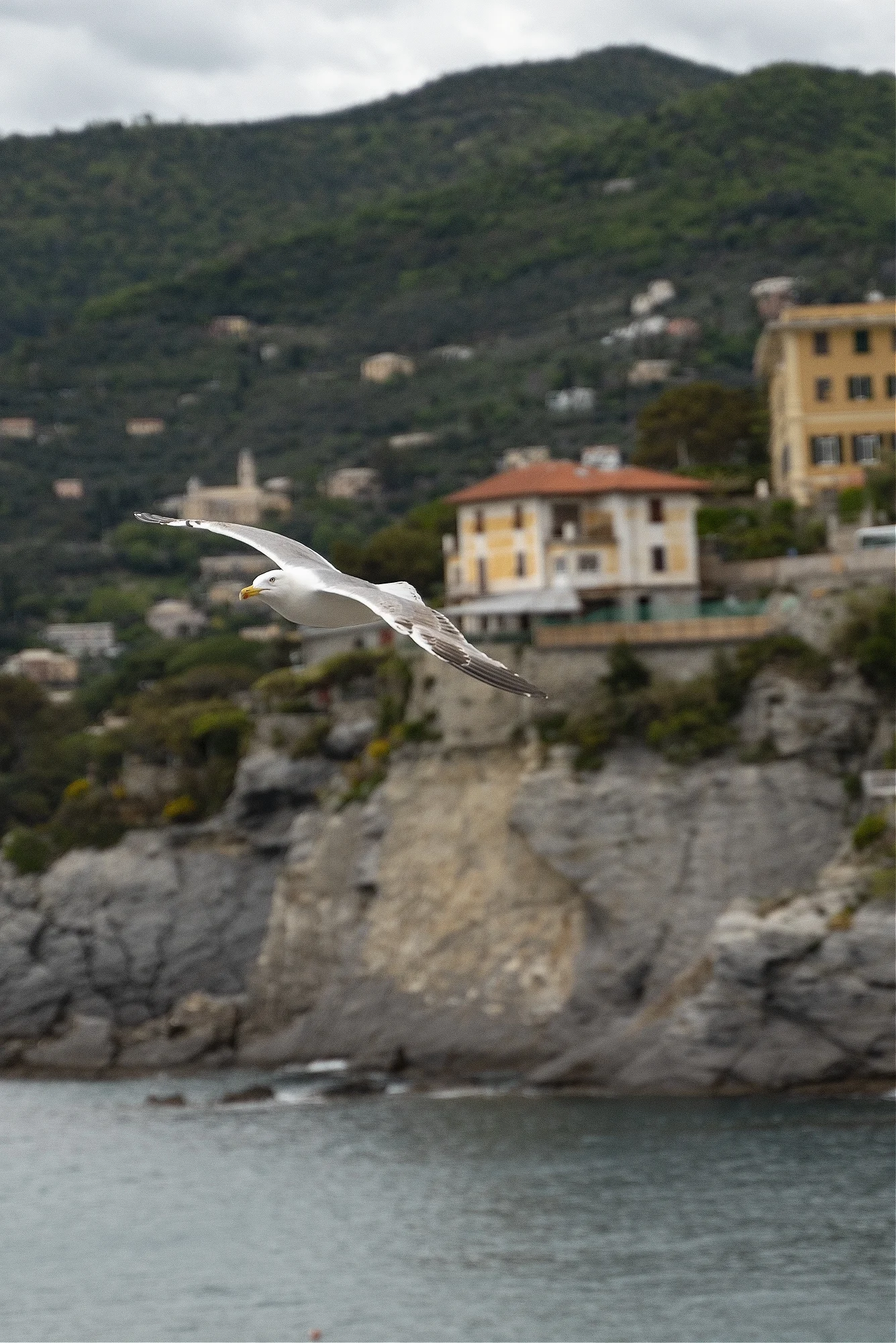 Camogli 2019 _A732206-Edit.jpg