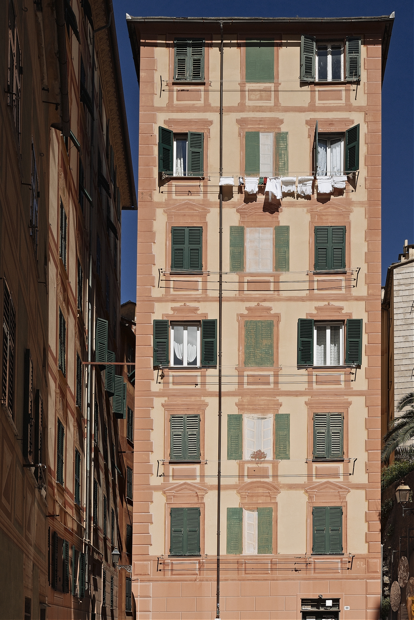 Washing Day. Camogli, Liguria