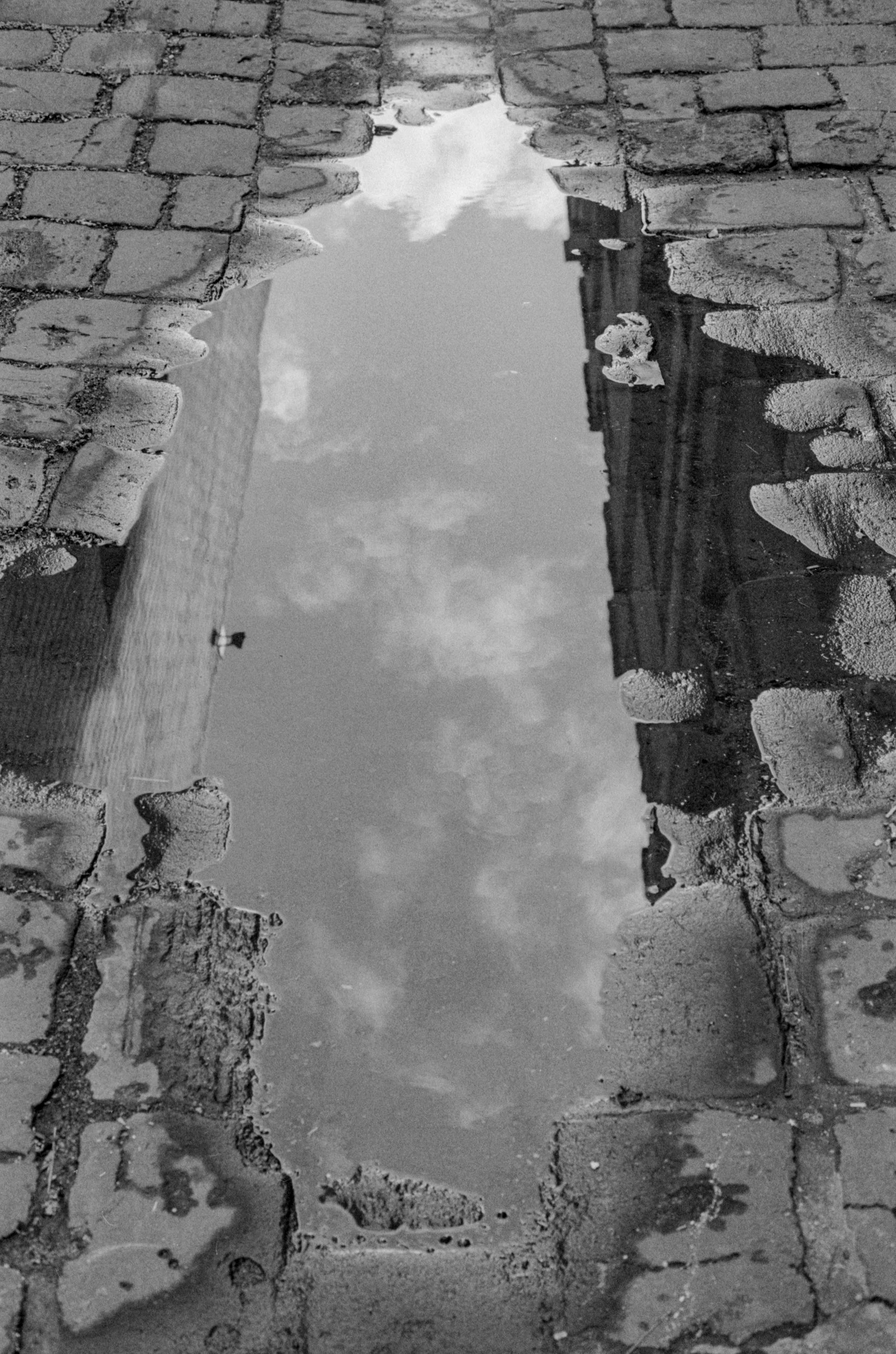 Nikon FM2 Walhalla HP5 April 2037.jpg